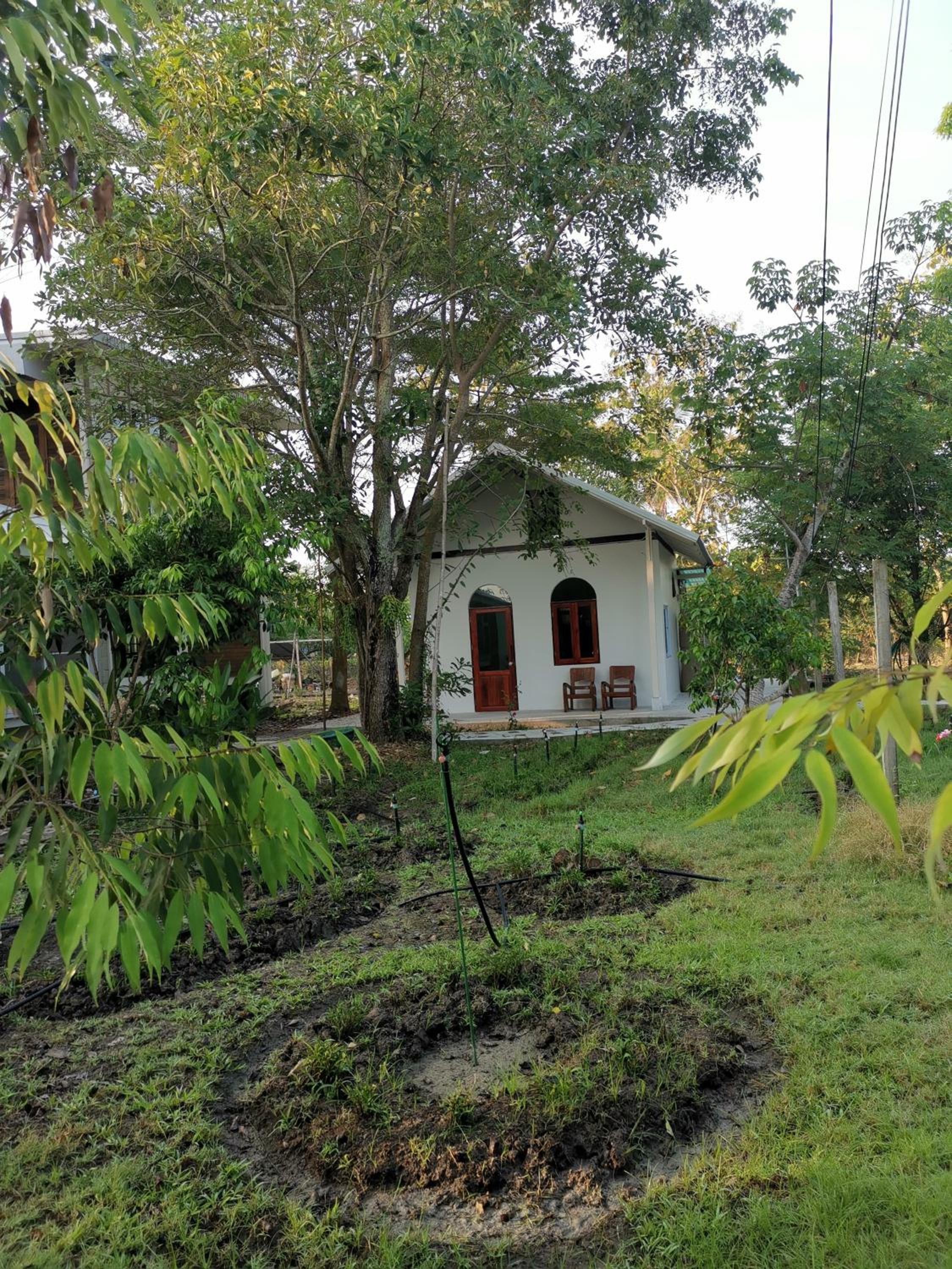 Photo 40