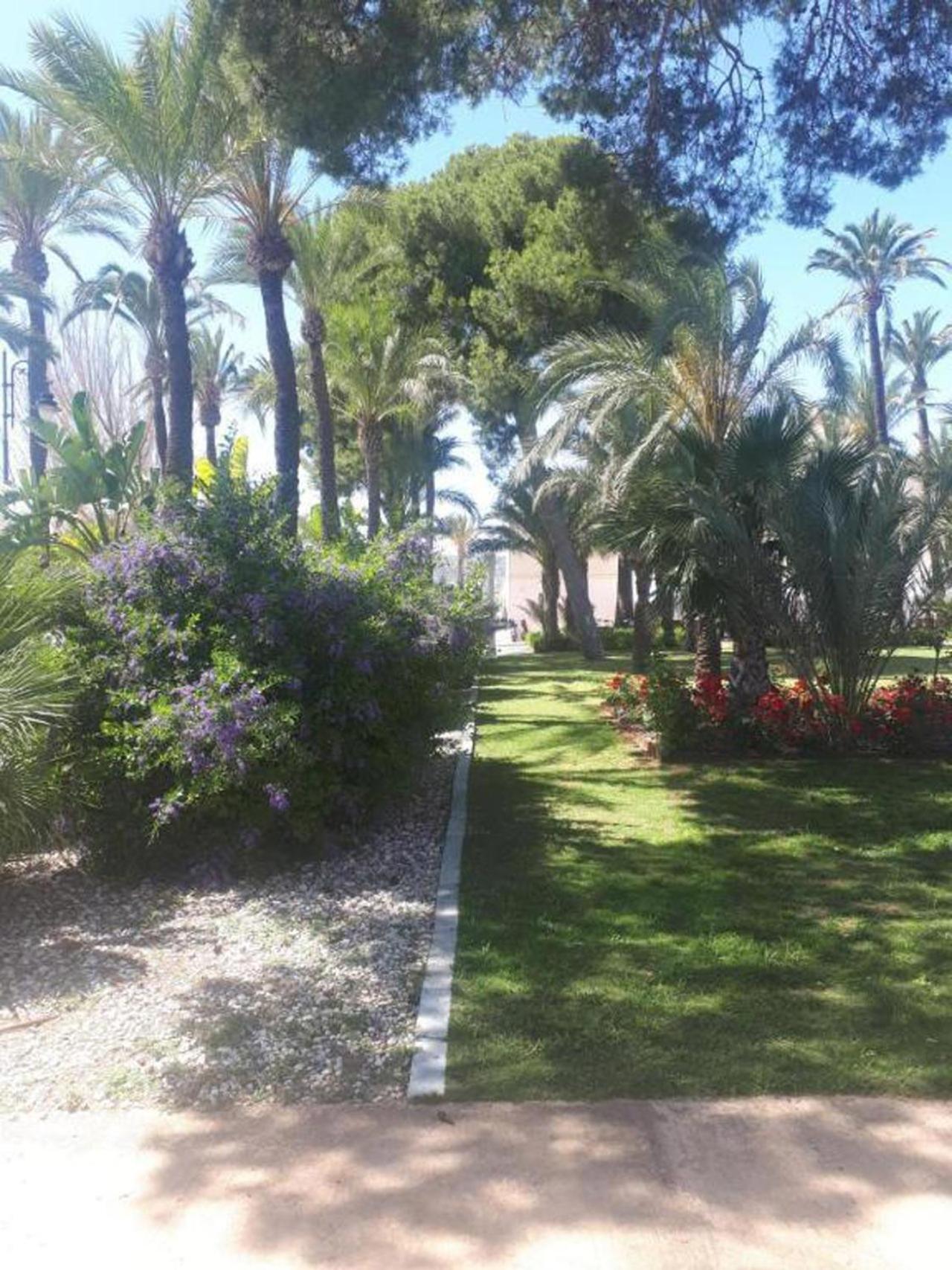 Apartment in Hacienda Riquelme Golf Resort