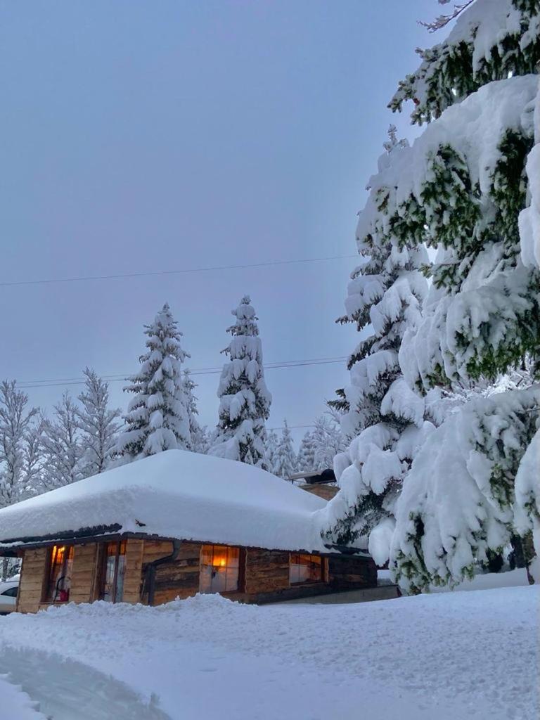 Mountain house Beauty of Laz view 2