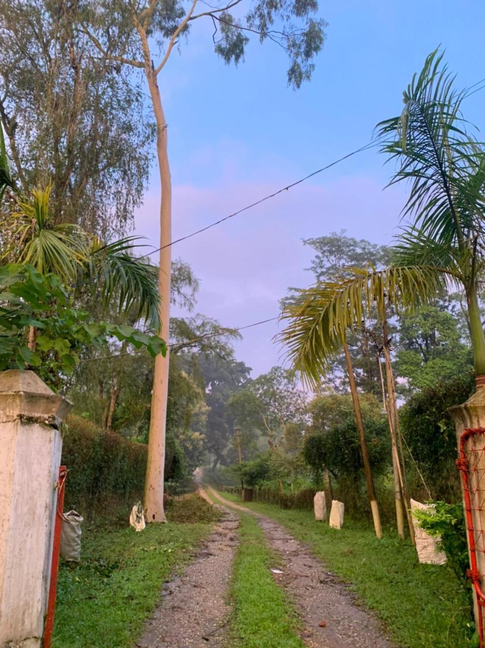 Nahorjan Tea Homestay