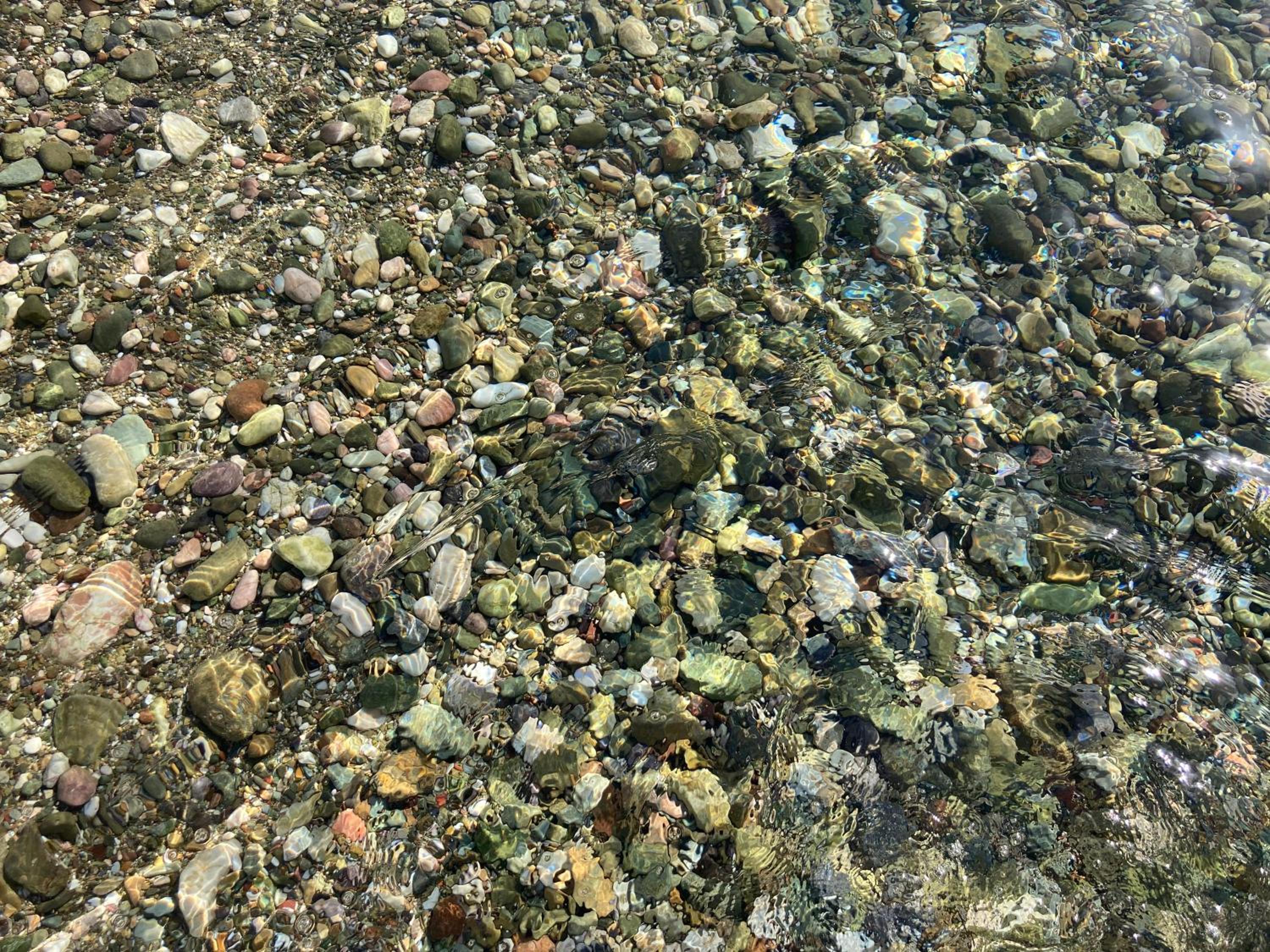 Photo 25