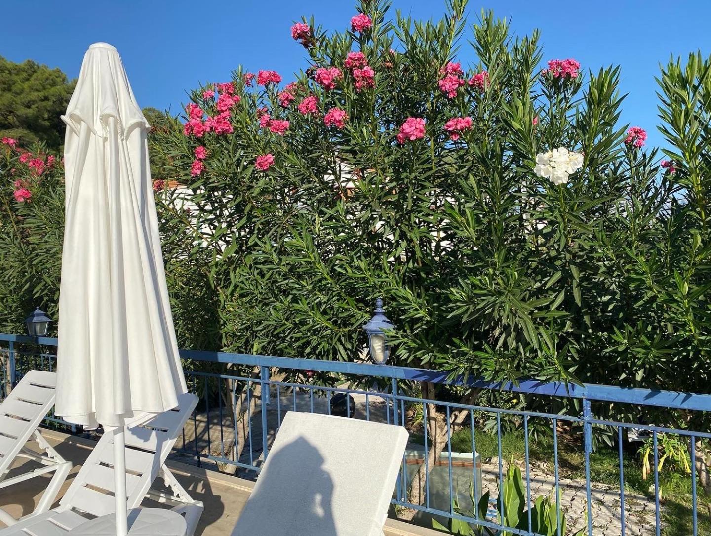 NATURELLA APART HOTEL - Image 114