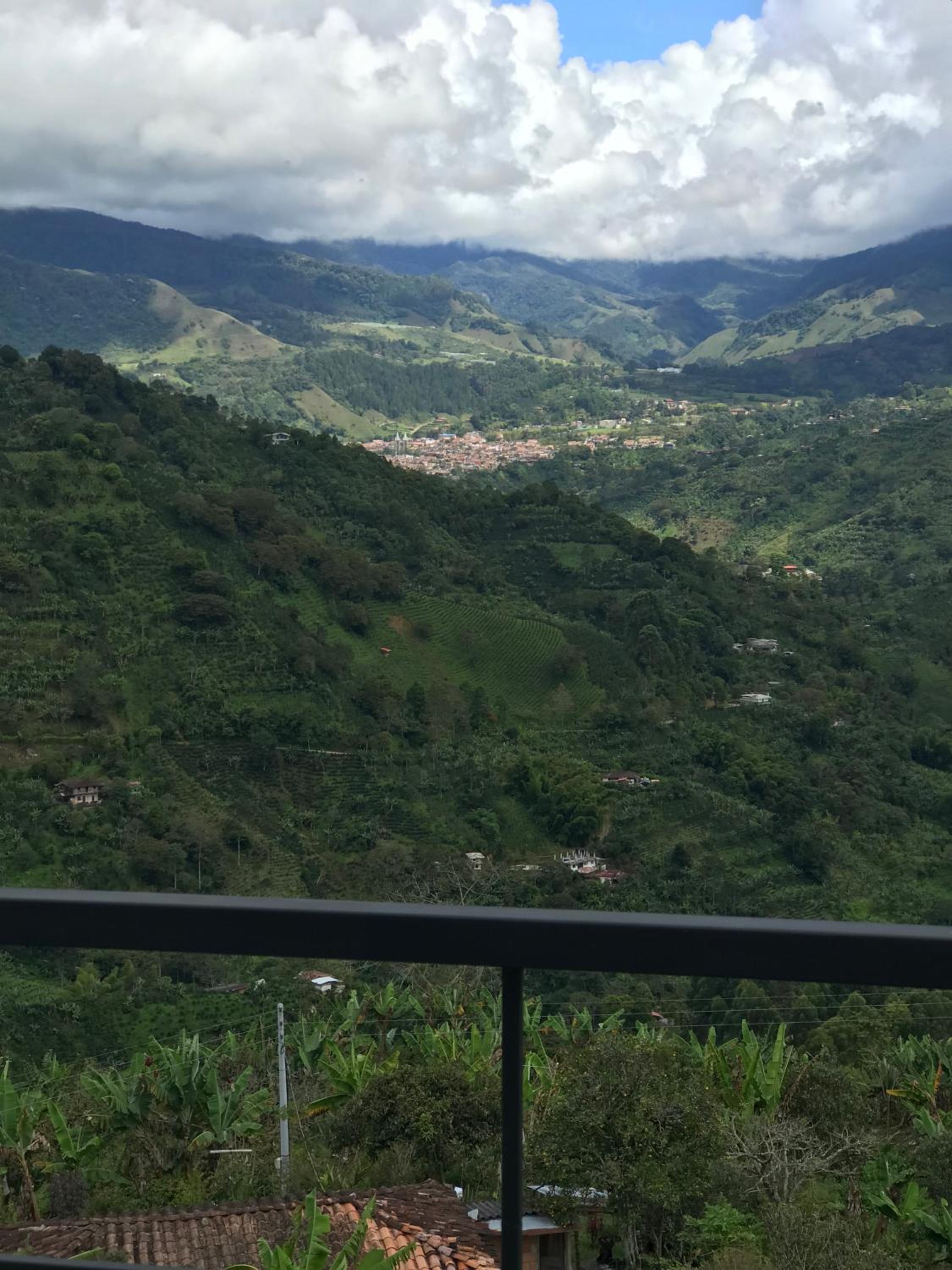 Montecafé Jardín