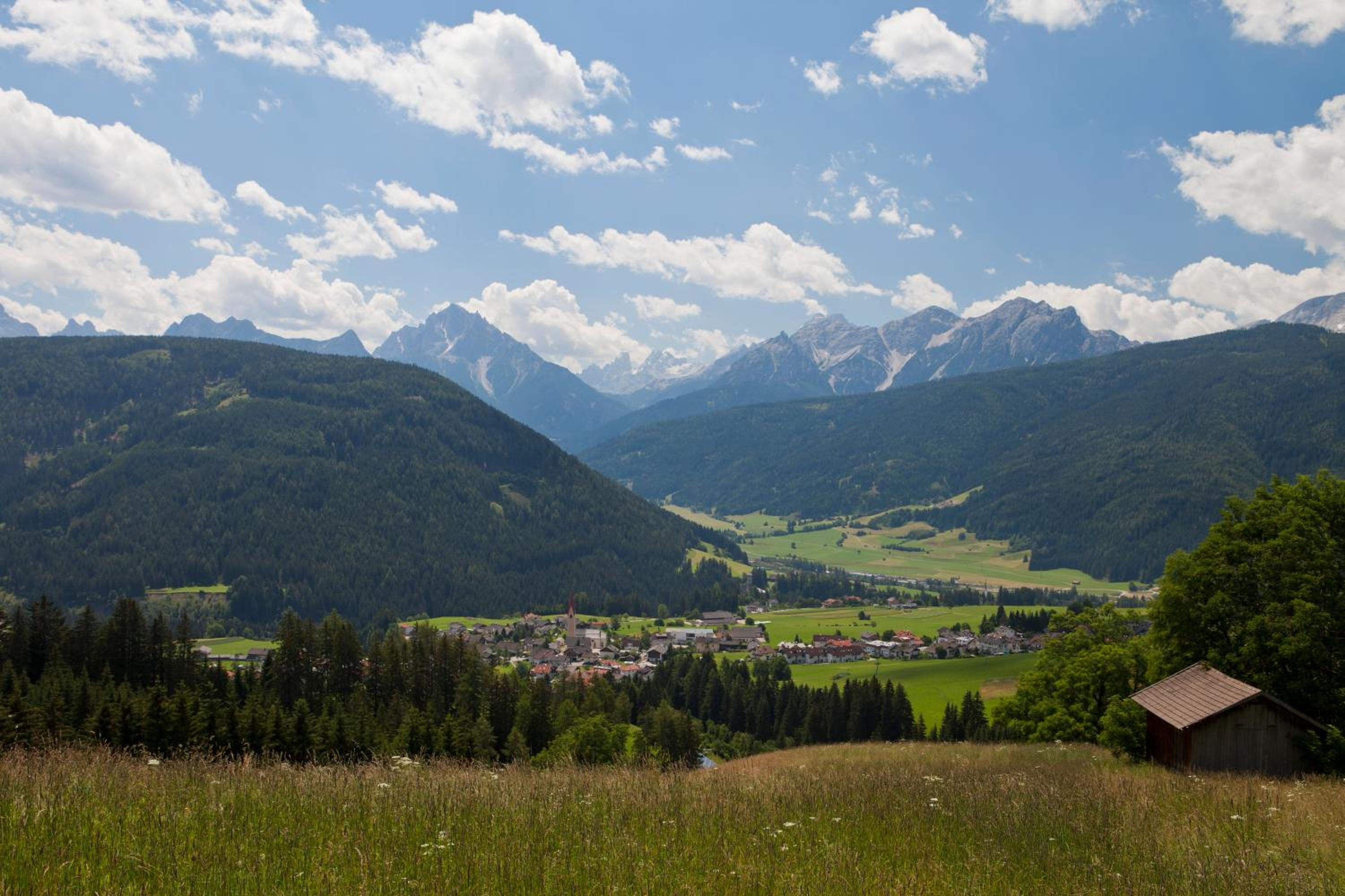 Photo 20