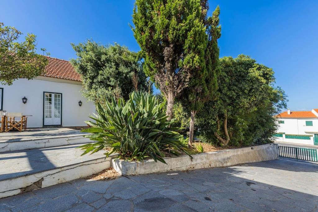 CHALLET ERICEIRA