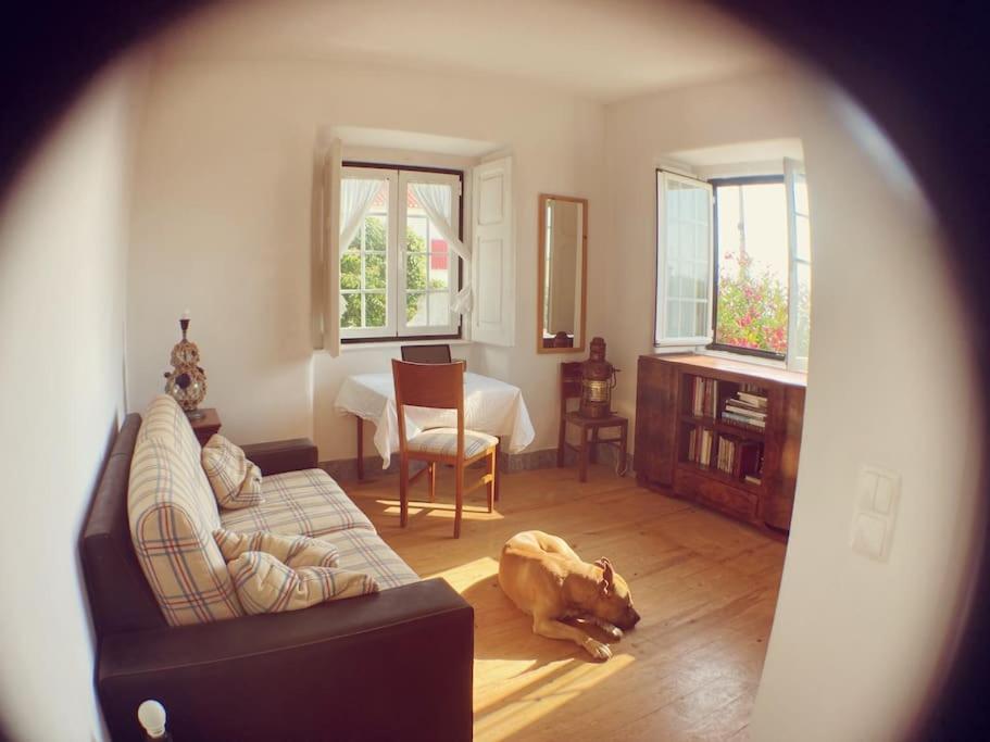 CHALLET ERICEIRA