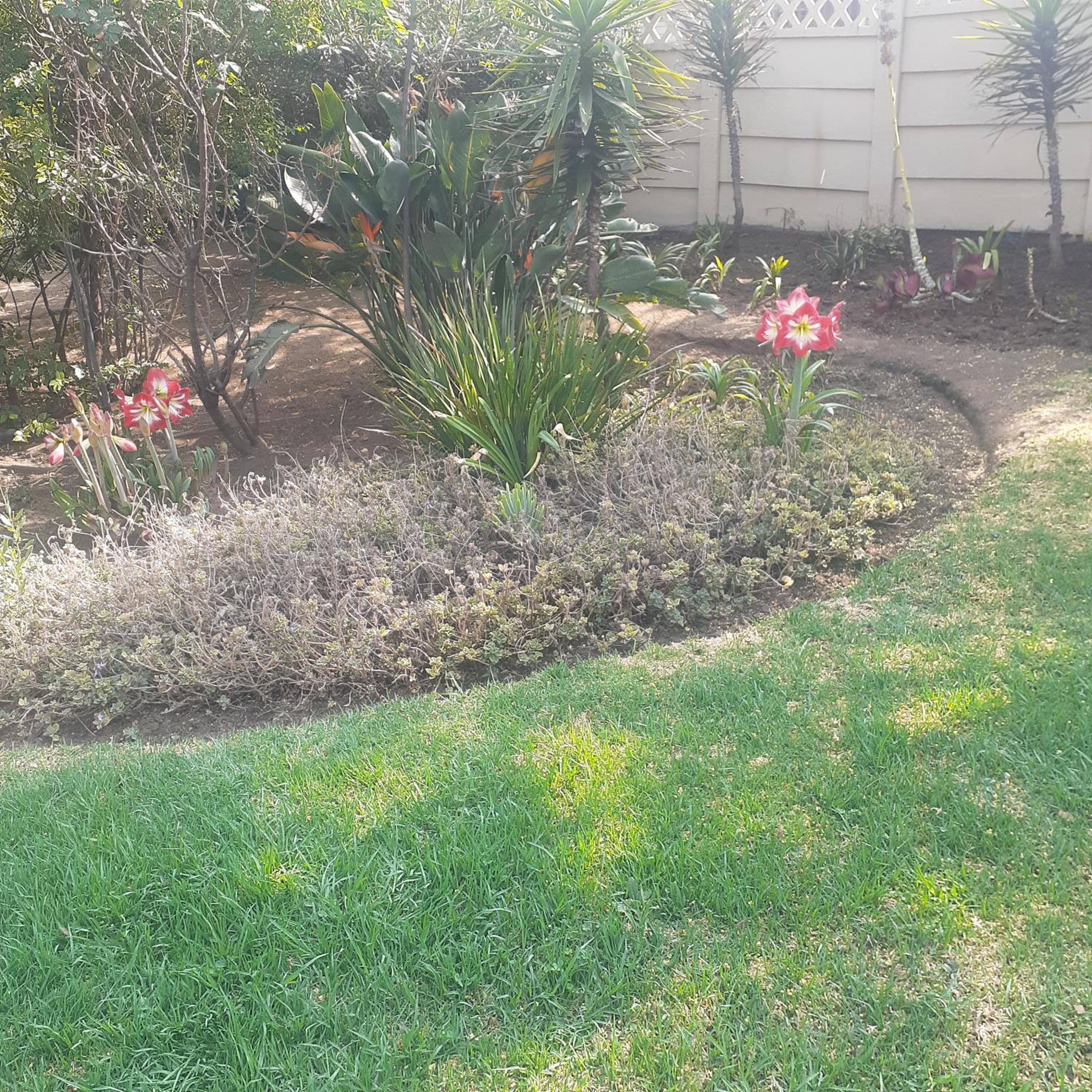 Photo 28