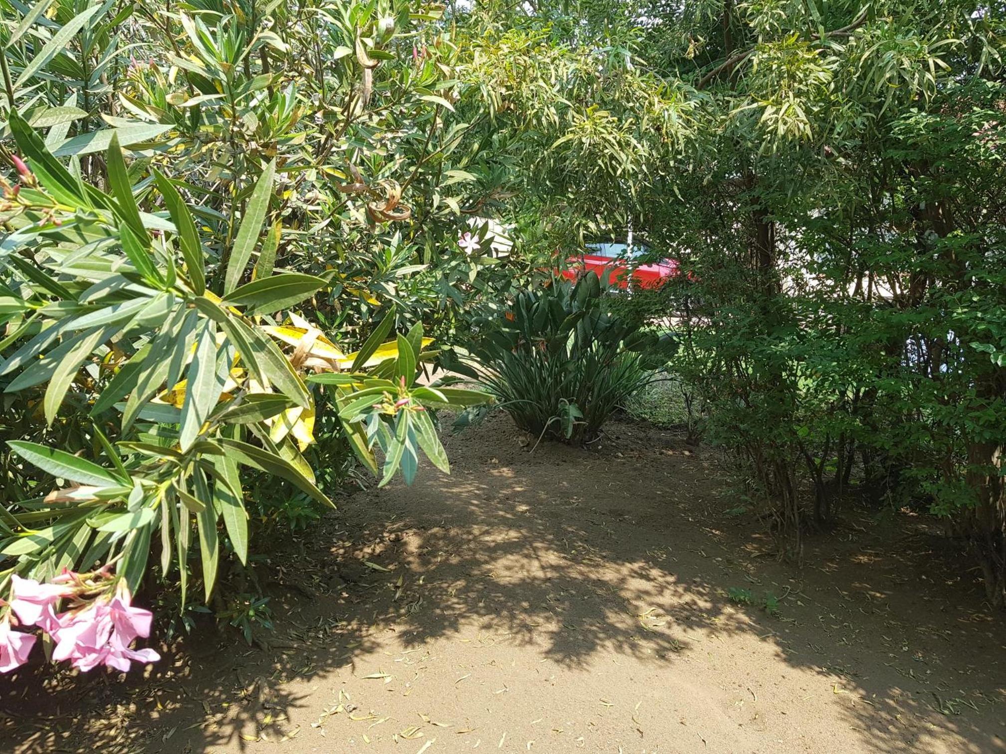 Photo 27