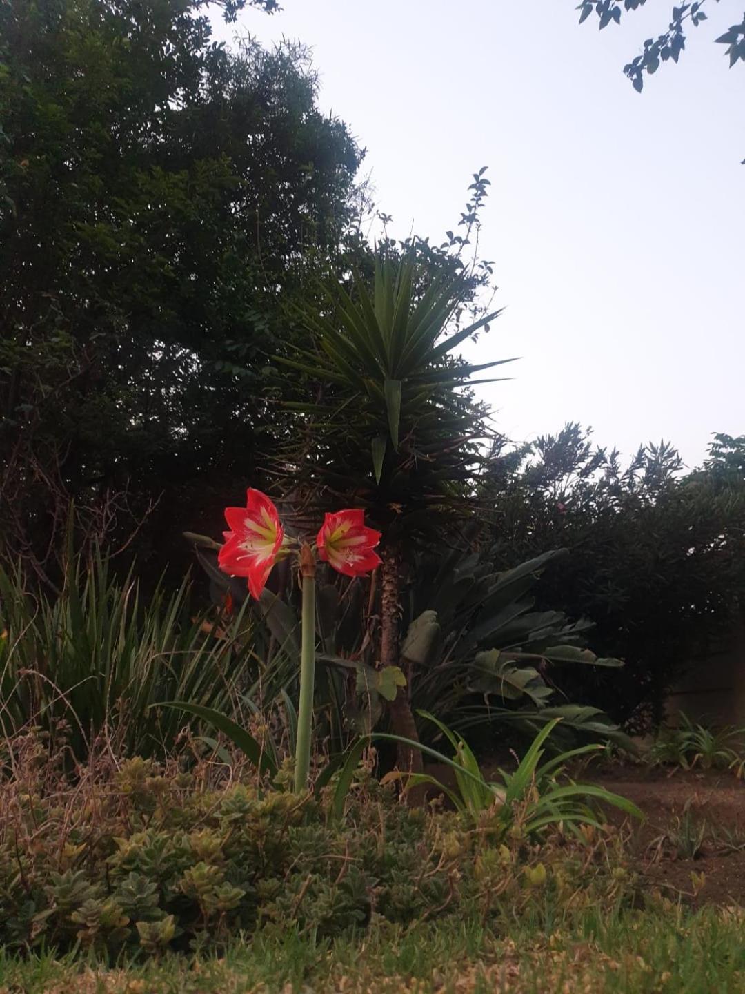 Emma's BNB view 5