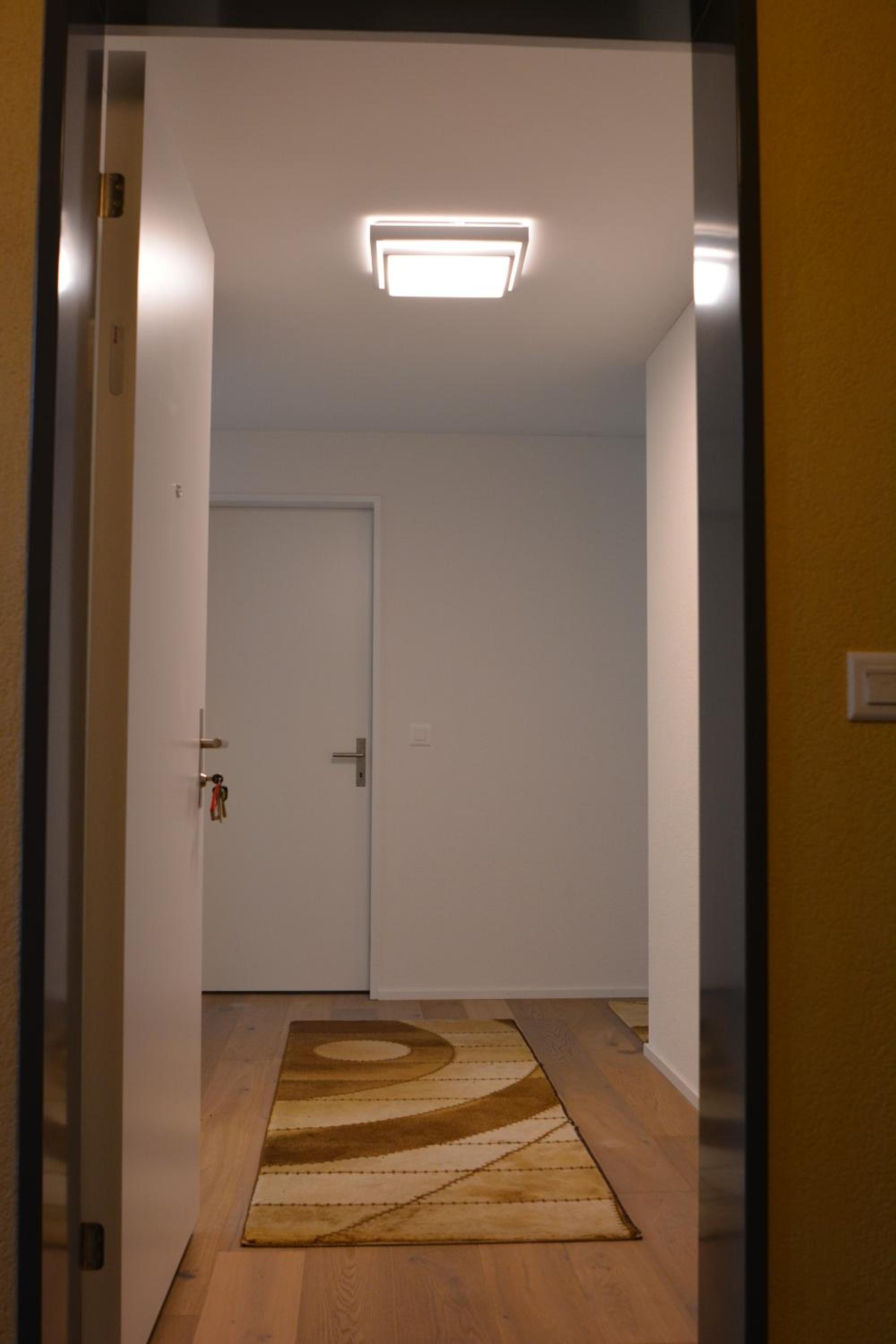 Great new apartment surrounded by nature. view 4