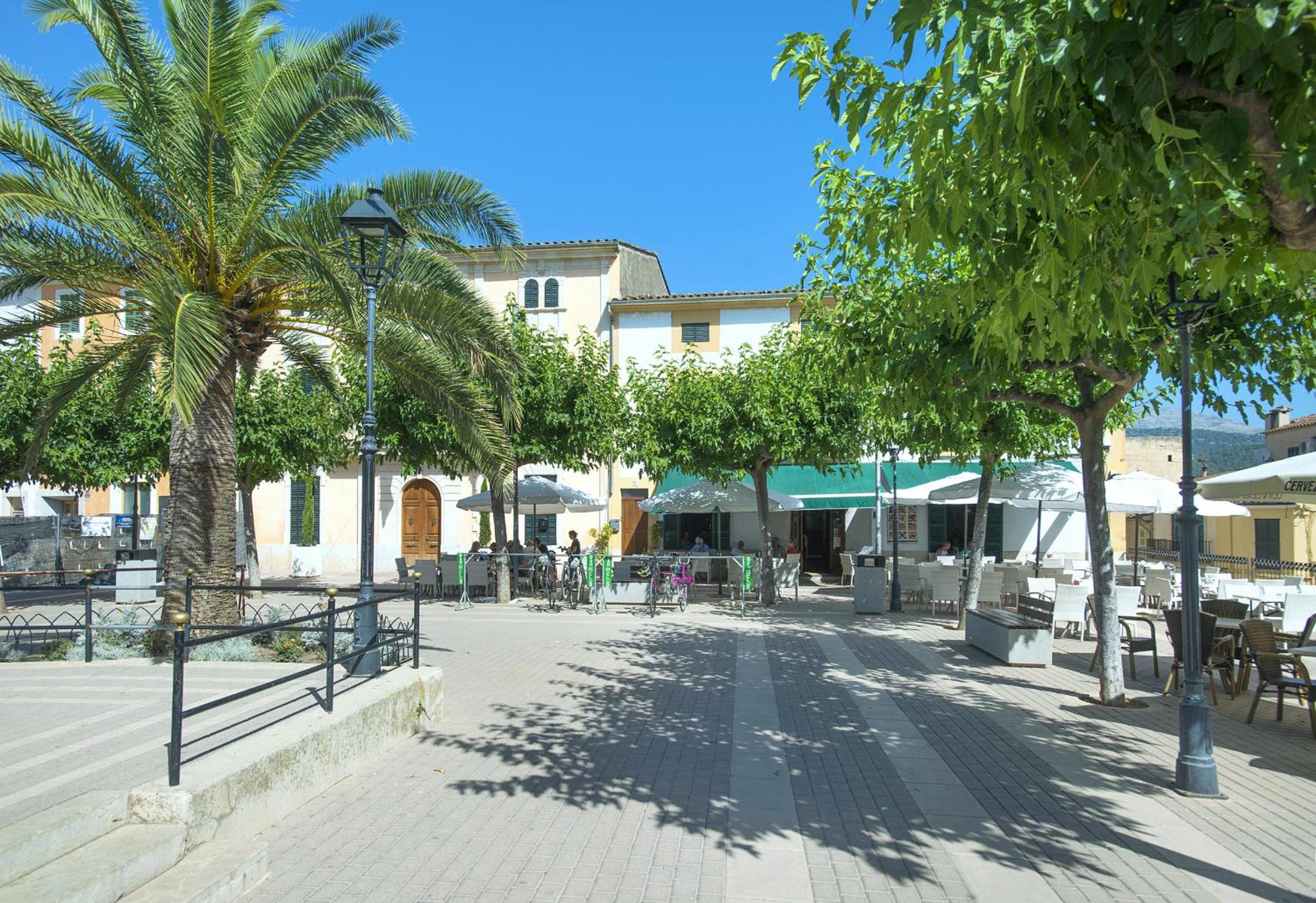 Photo 6