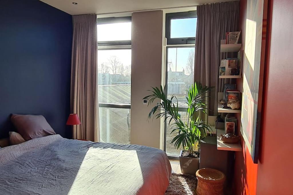 Luxurious flat sunny, quiet, design, lift, balcony