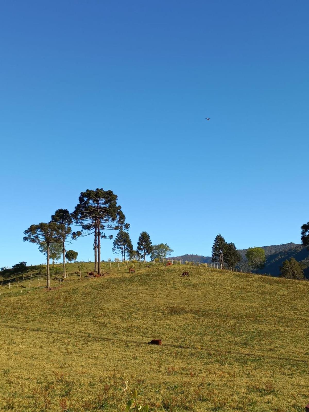 Recanto dos Pássaros Urubici
