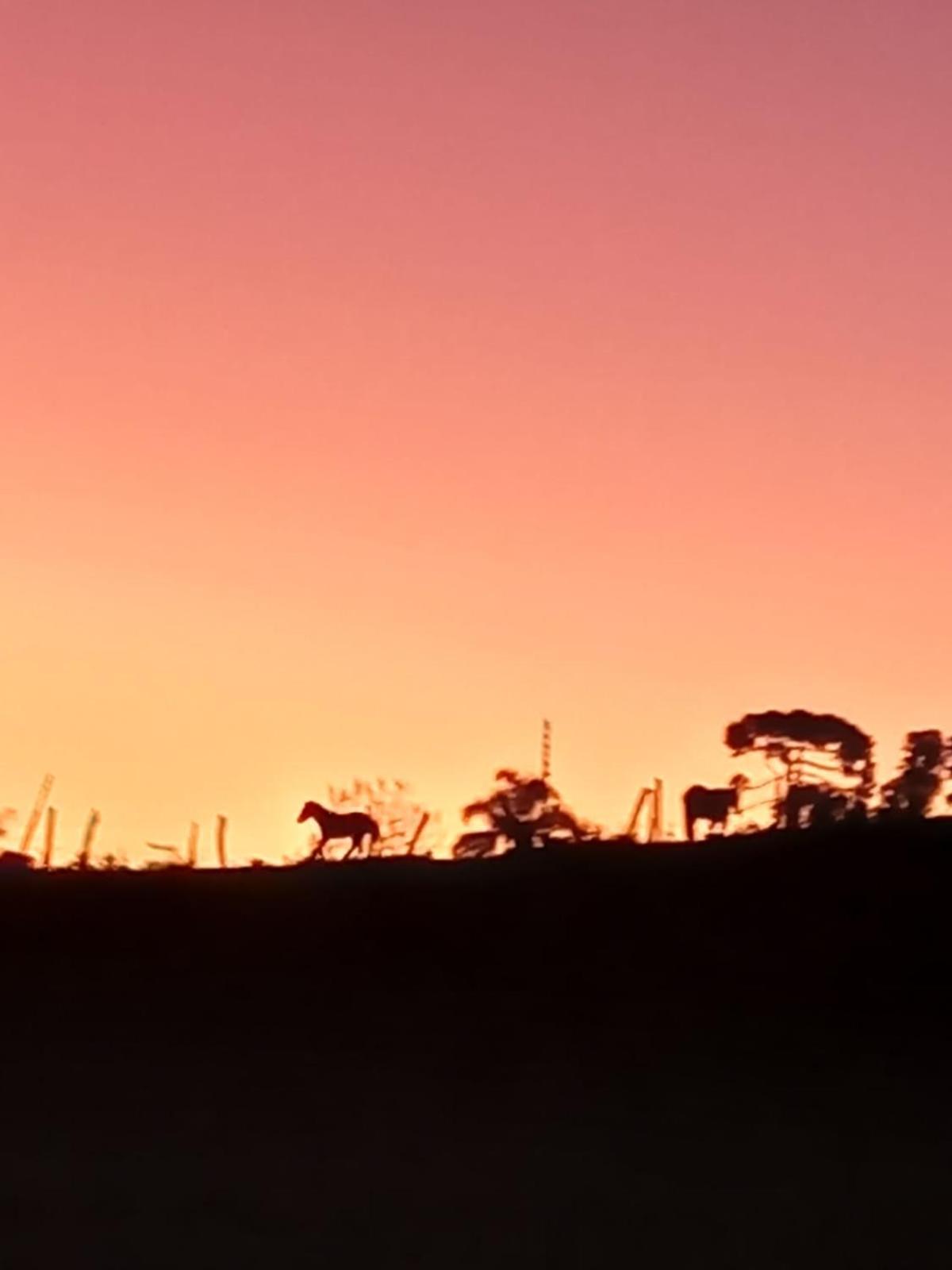 Recanto dos Pássaros Urubici