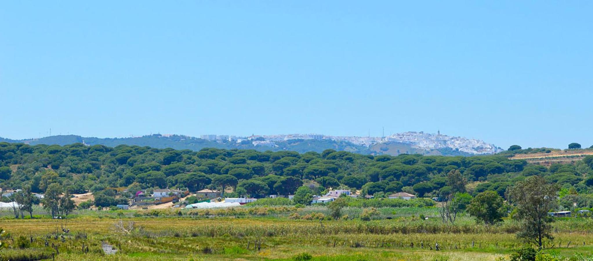 Poniente