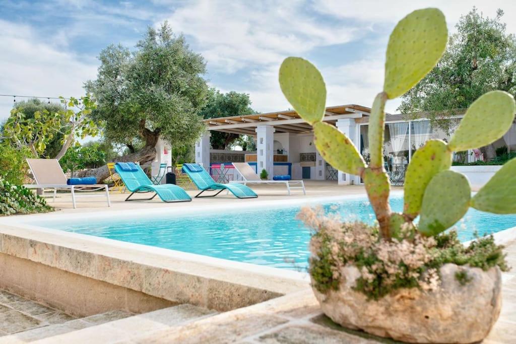 Masseria Tufo Bianco by Raro Villas view 5