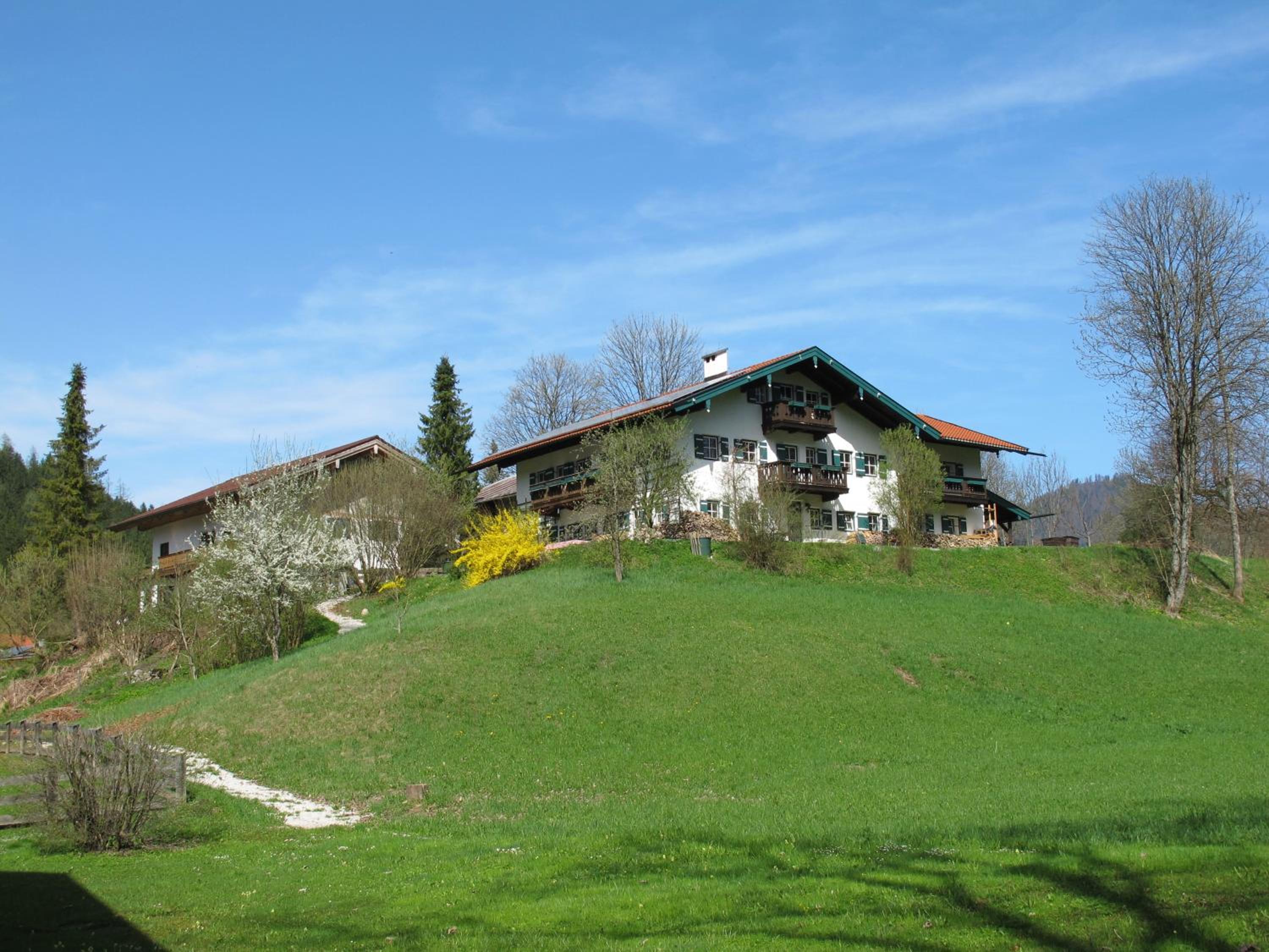 Photo 26