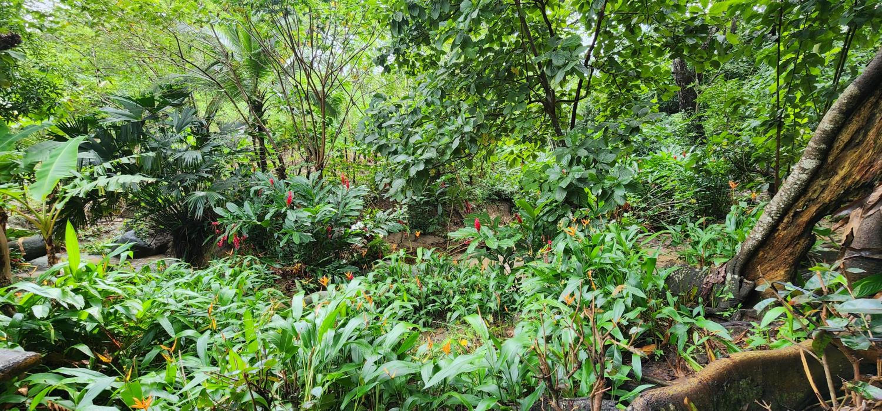 Hostel Finca La Gordita view 5