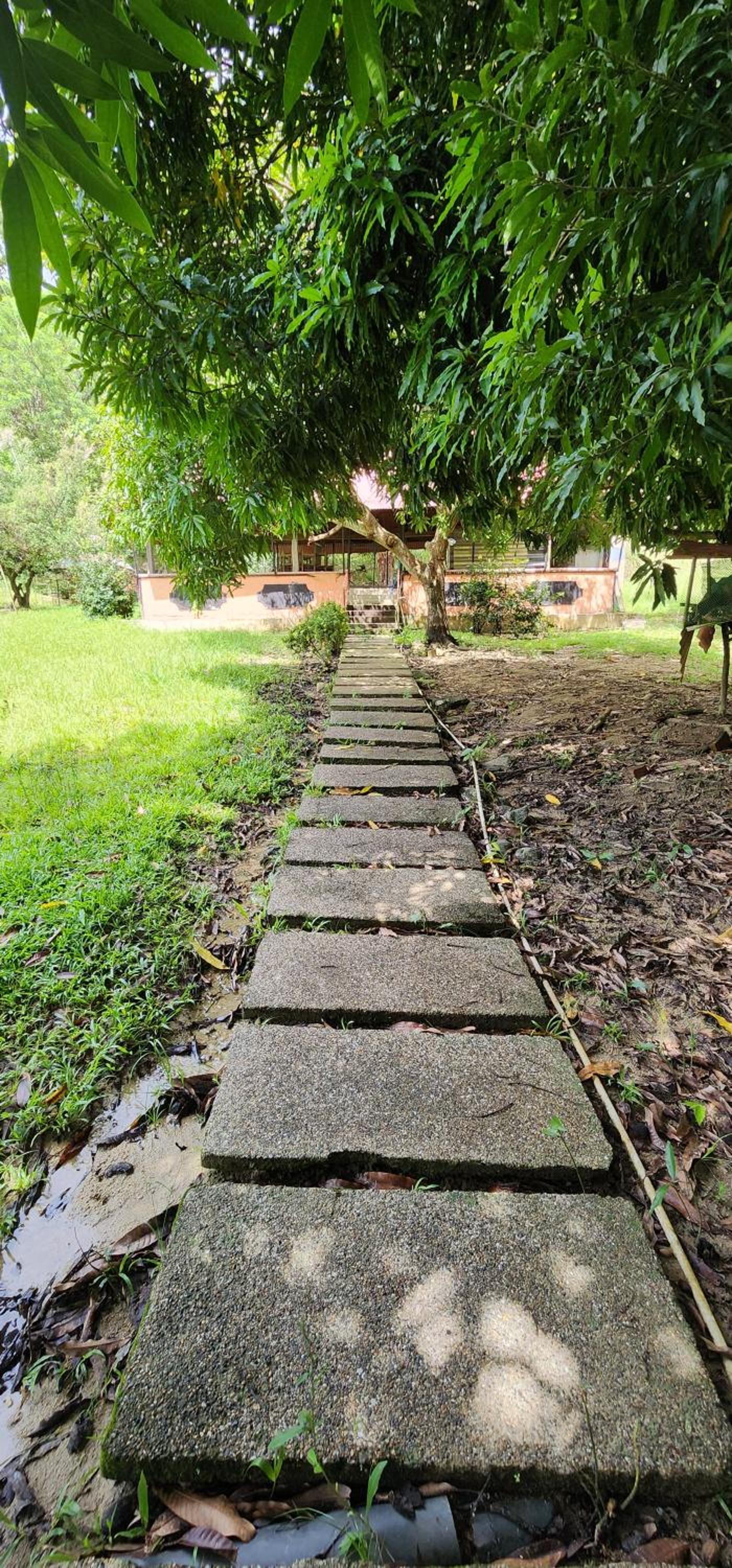 Hostel Finca La Gordita view 3
