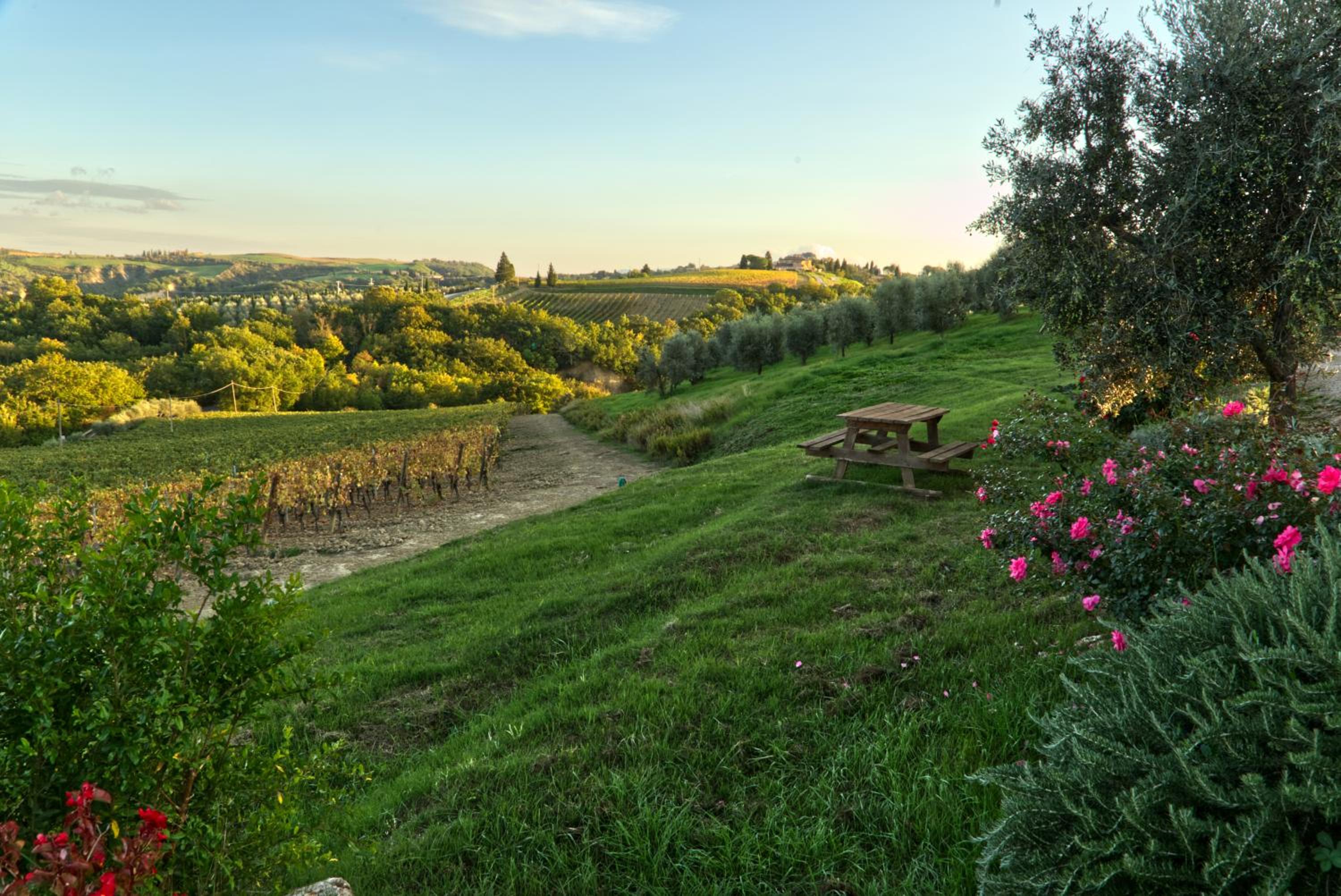 Agriturismo Mocine