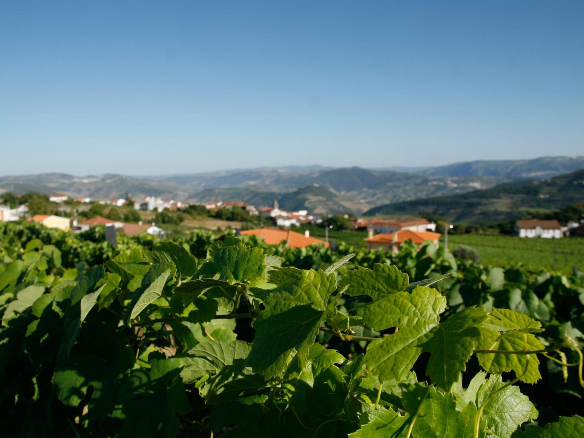 Quinta Manhas Douro