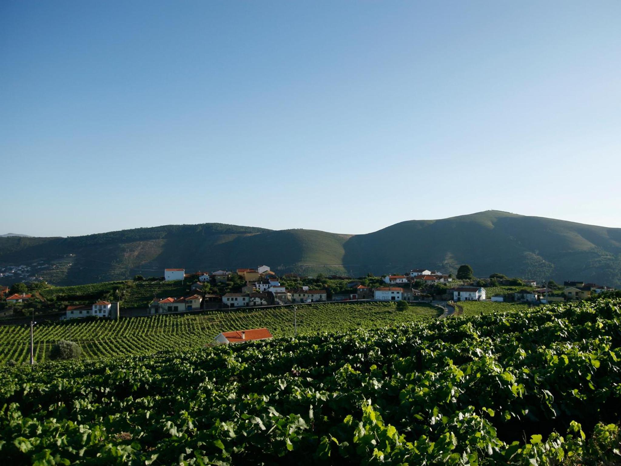 Quinta Manhas Douro