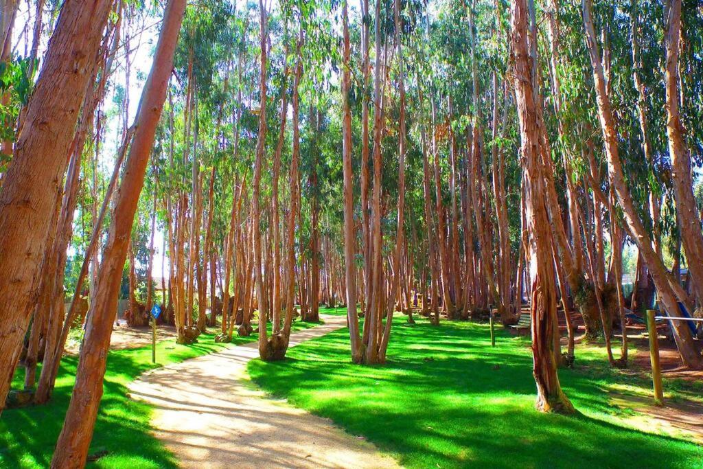 Depto Costa Algarrobo Norte