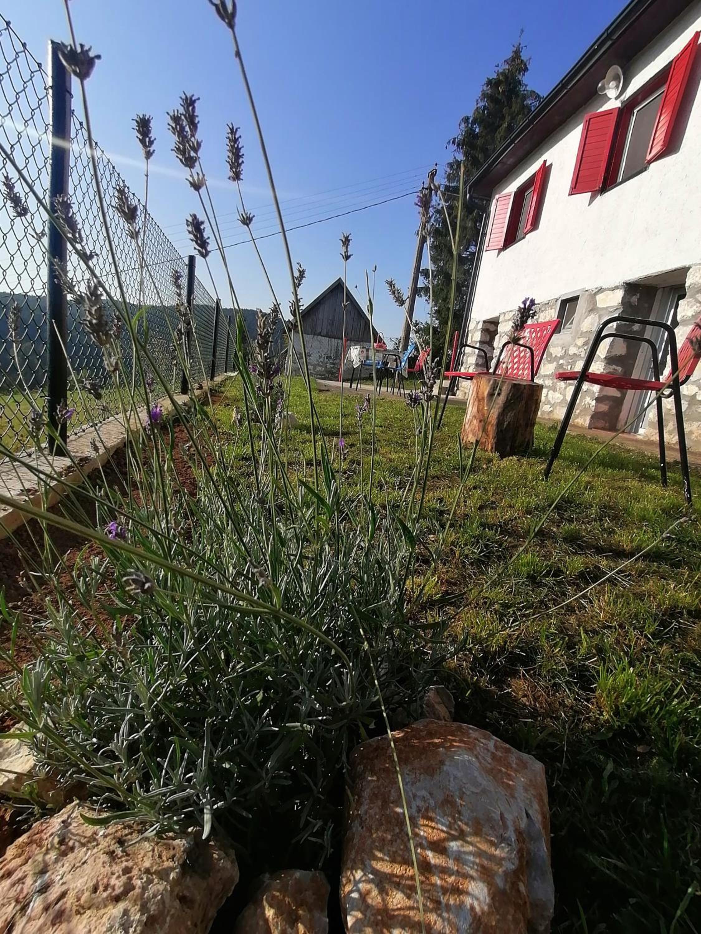 Photo 6