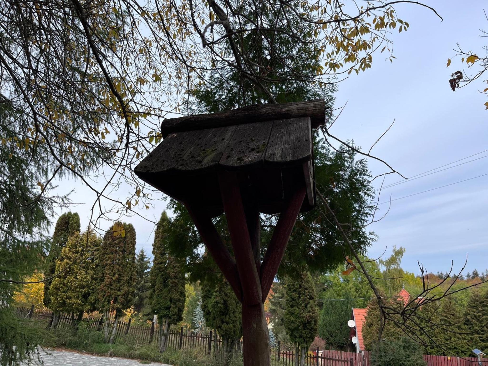 Photo 41