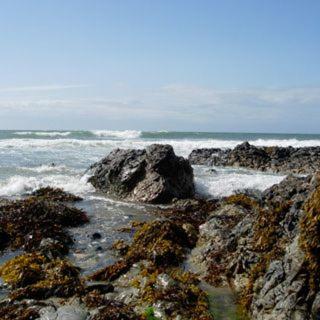 Photo 50