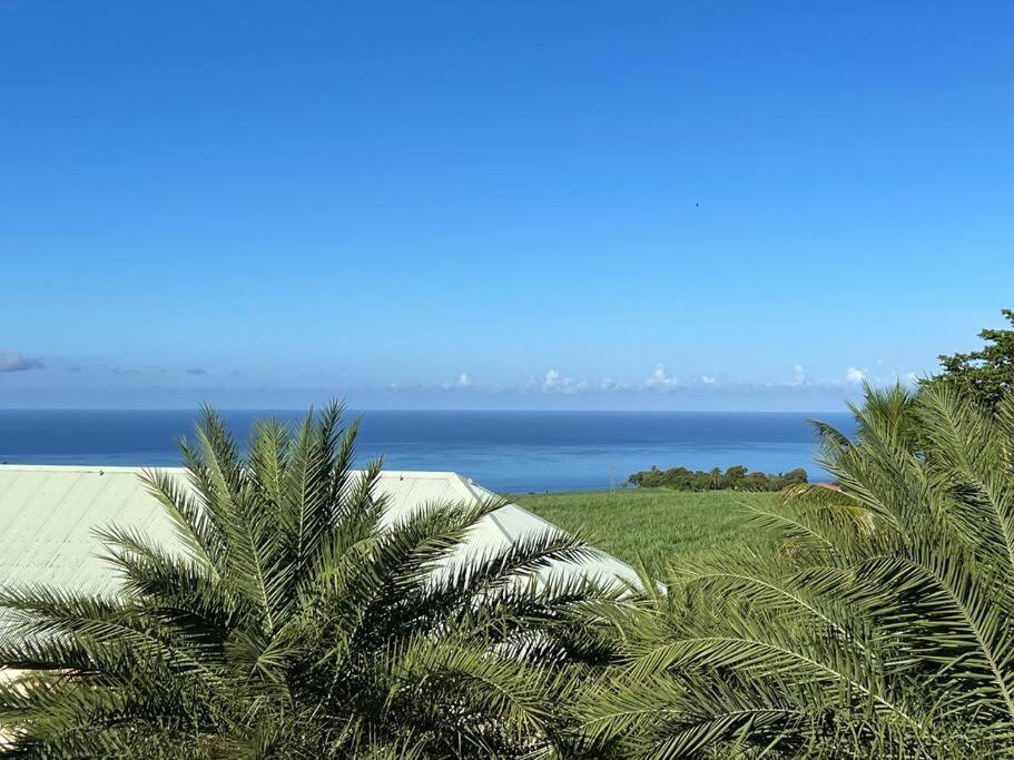 Zabana Lodge, dans un jardin tropical avec piscine view 4