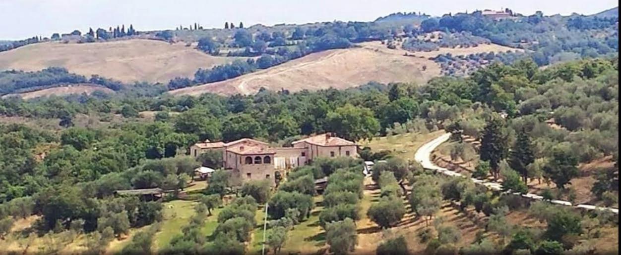 Podere Spedalone view 4