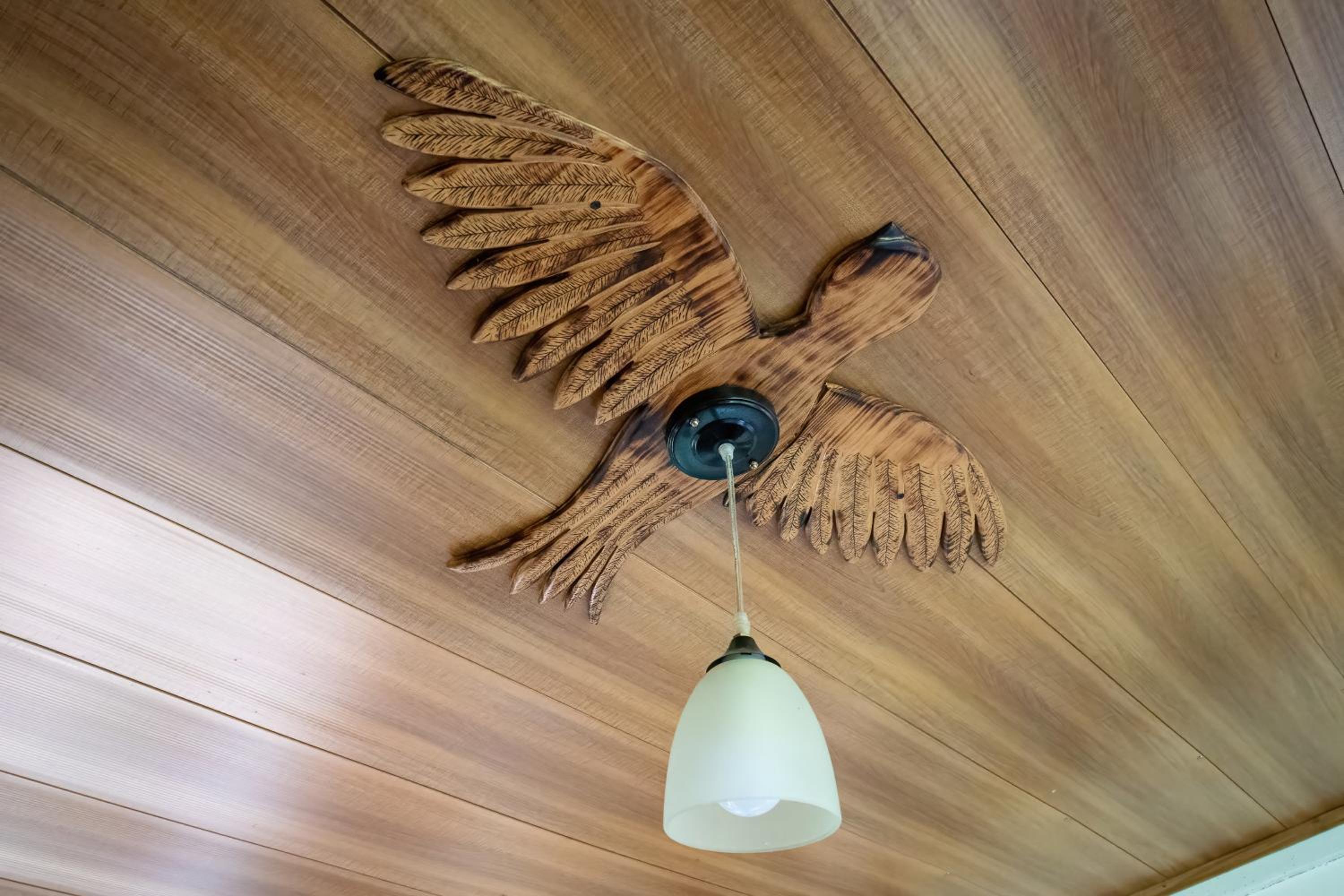 Natural Wonders House