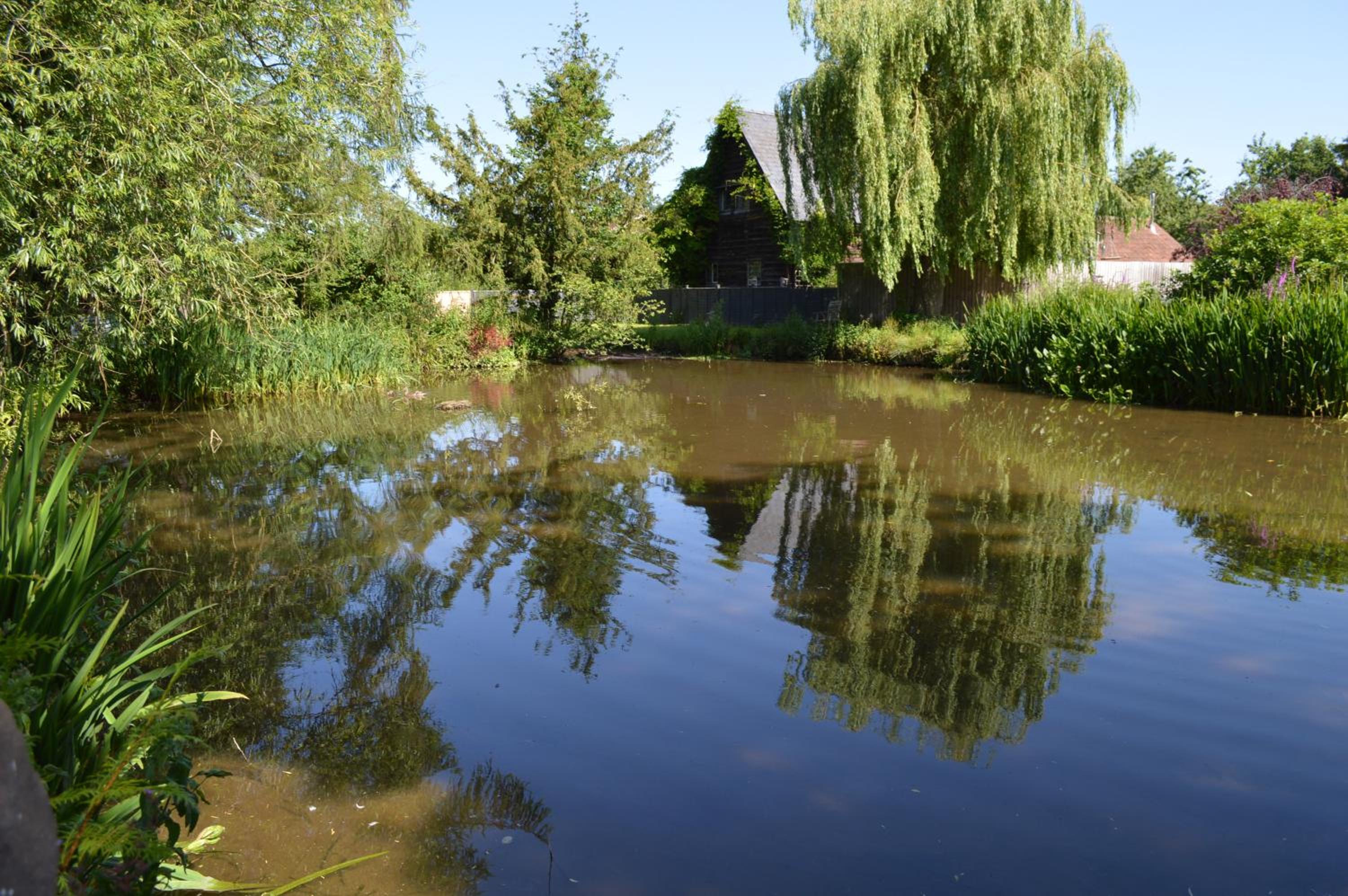 Photo 36