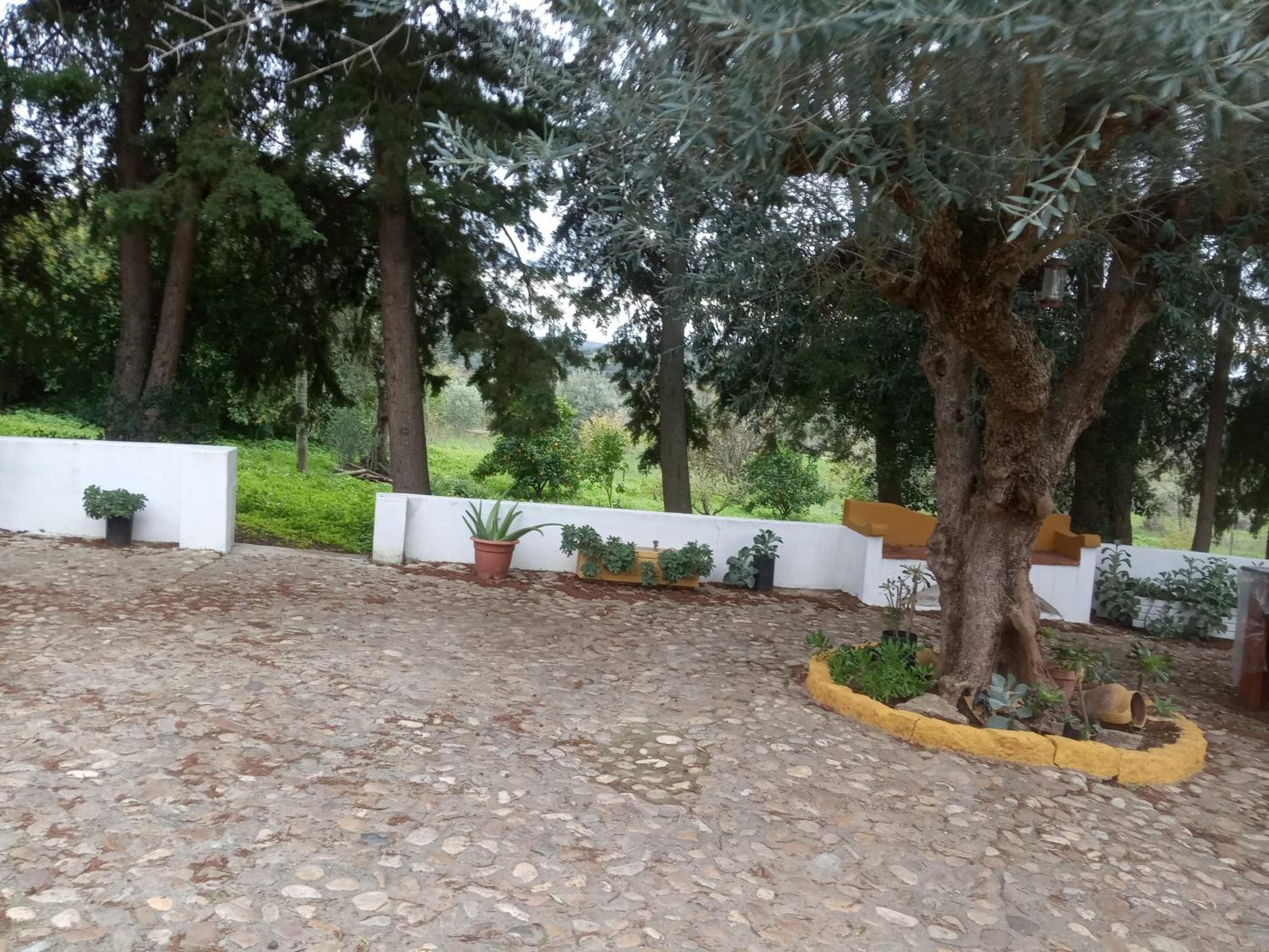 Photo 40