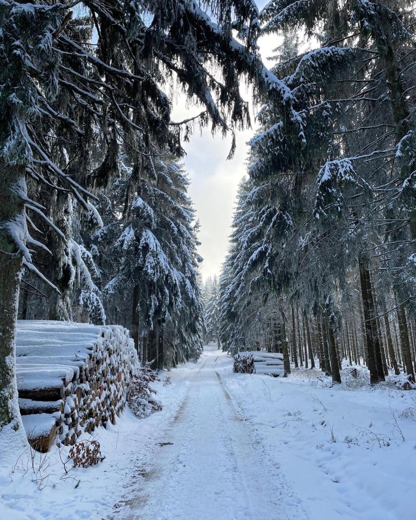 Ferienhaus mit Sauna, Wintergarten und Terrasse im schönen Hochtaunus