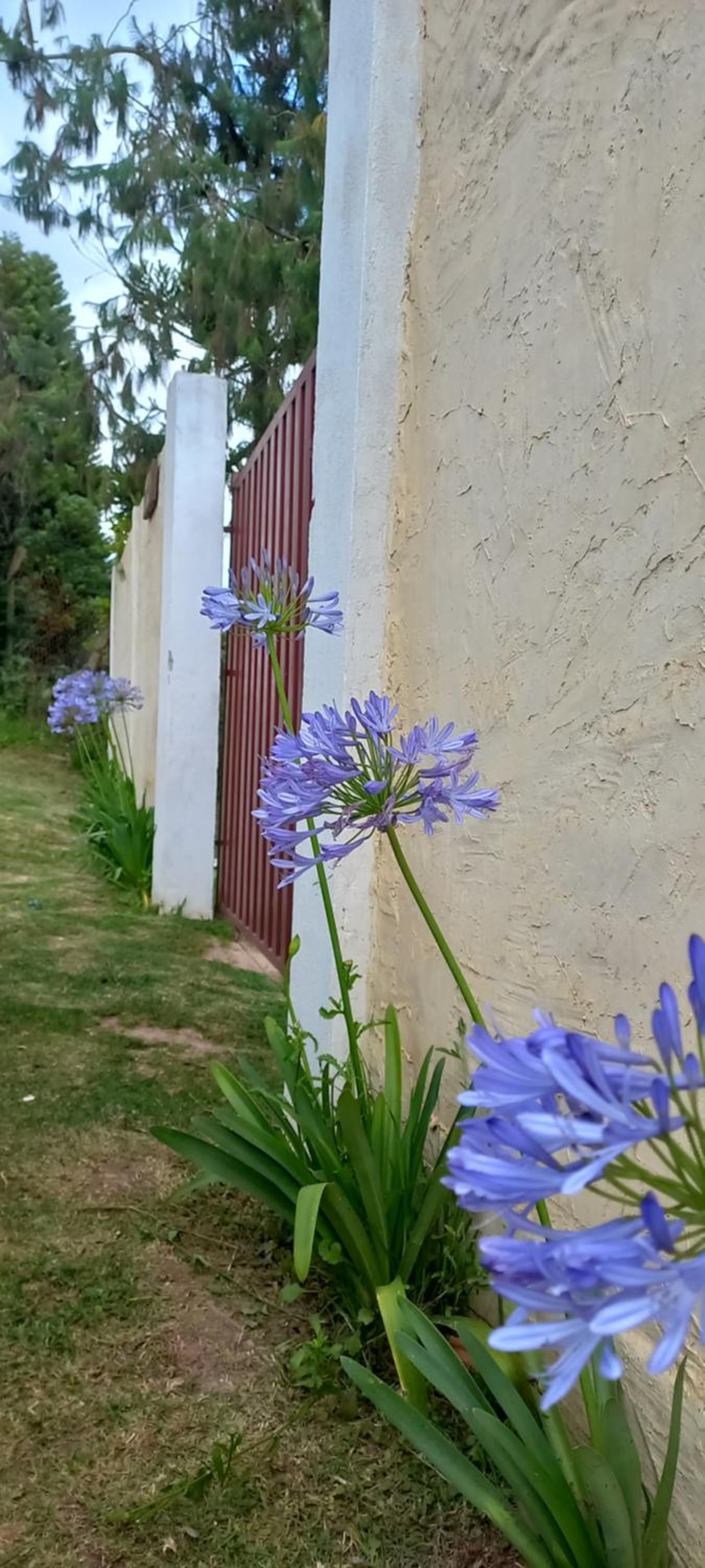 Chalés Alto da Serra 1