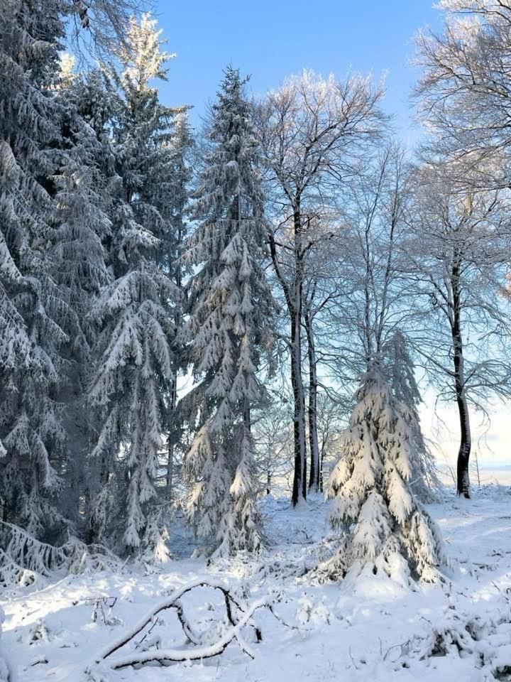 Ferienhaus mit Sauna, Wintergarten und Terrasse im schönen Hochtaunus