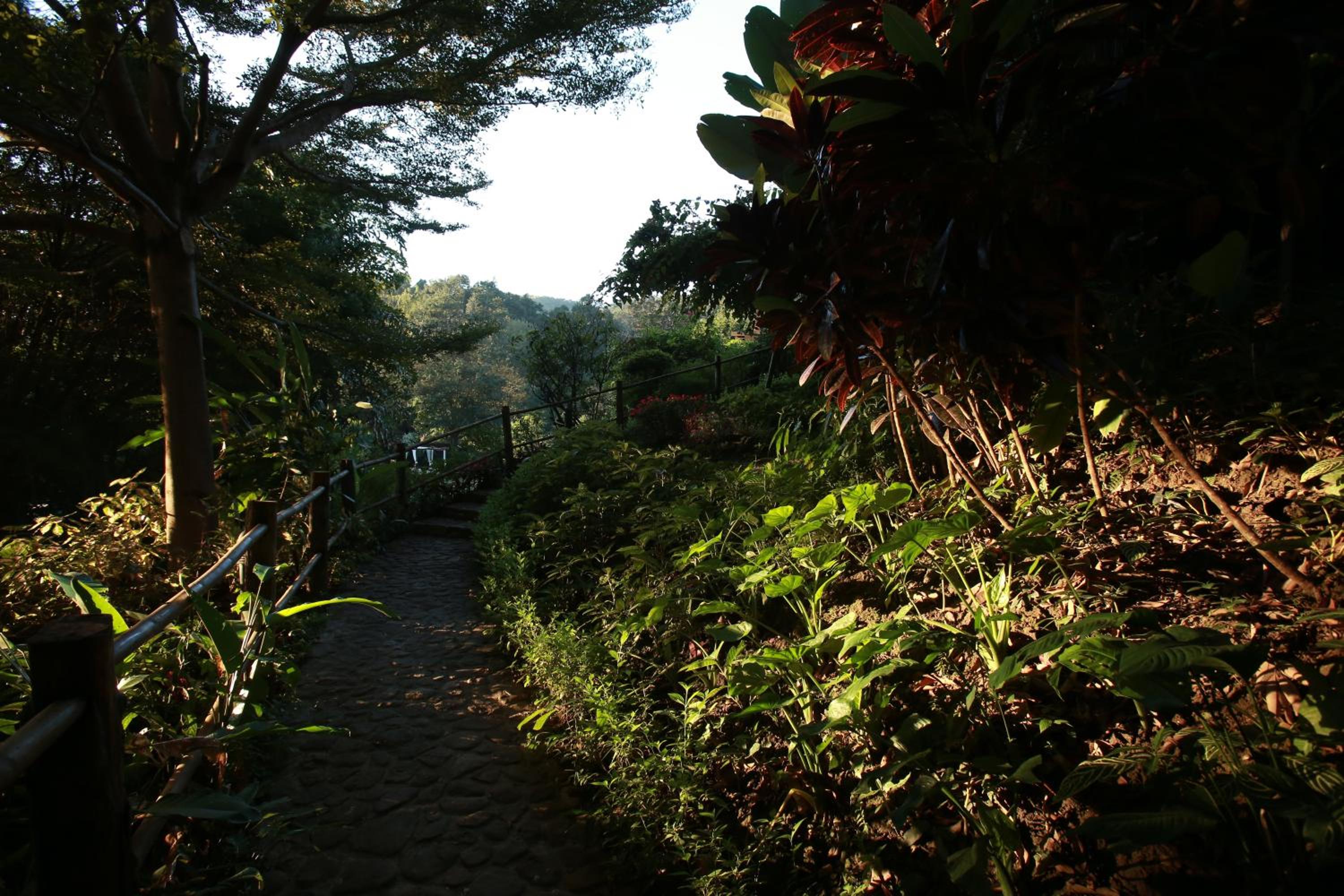 Vanilla hill (hill lodge)