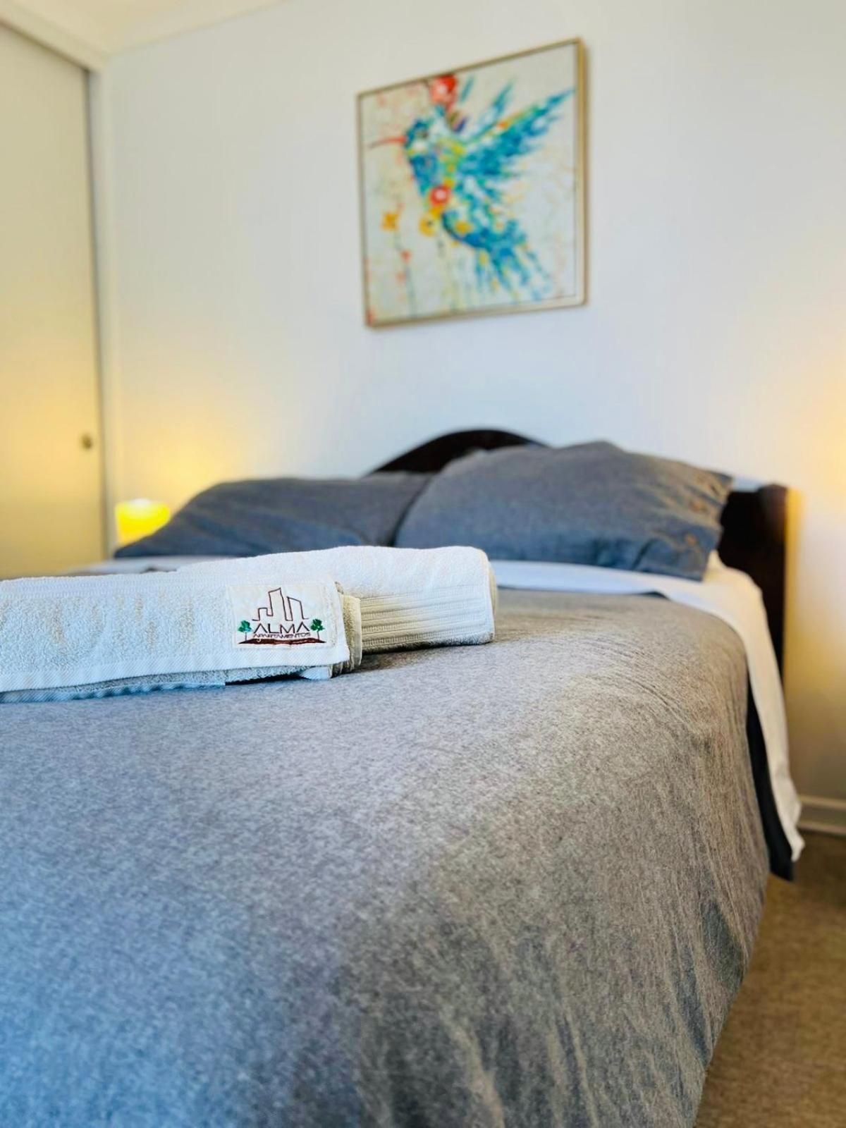 Apartamentos Alma Socoroma