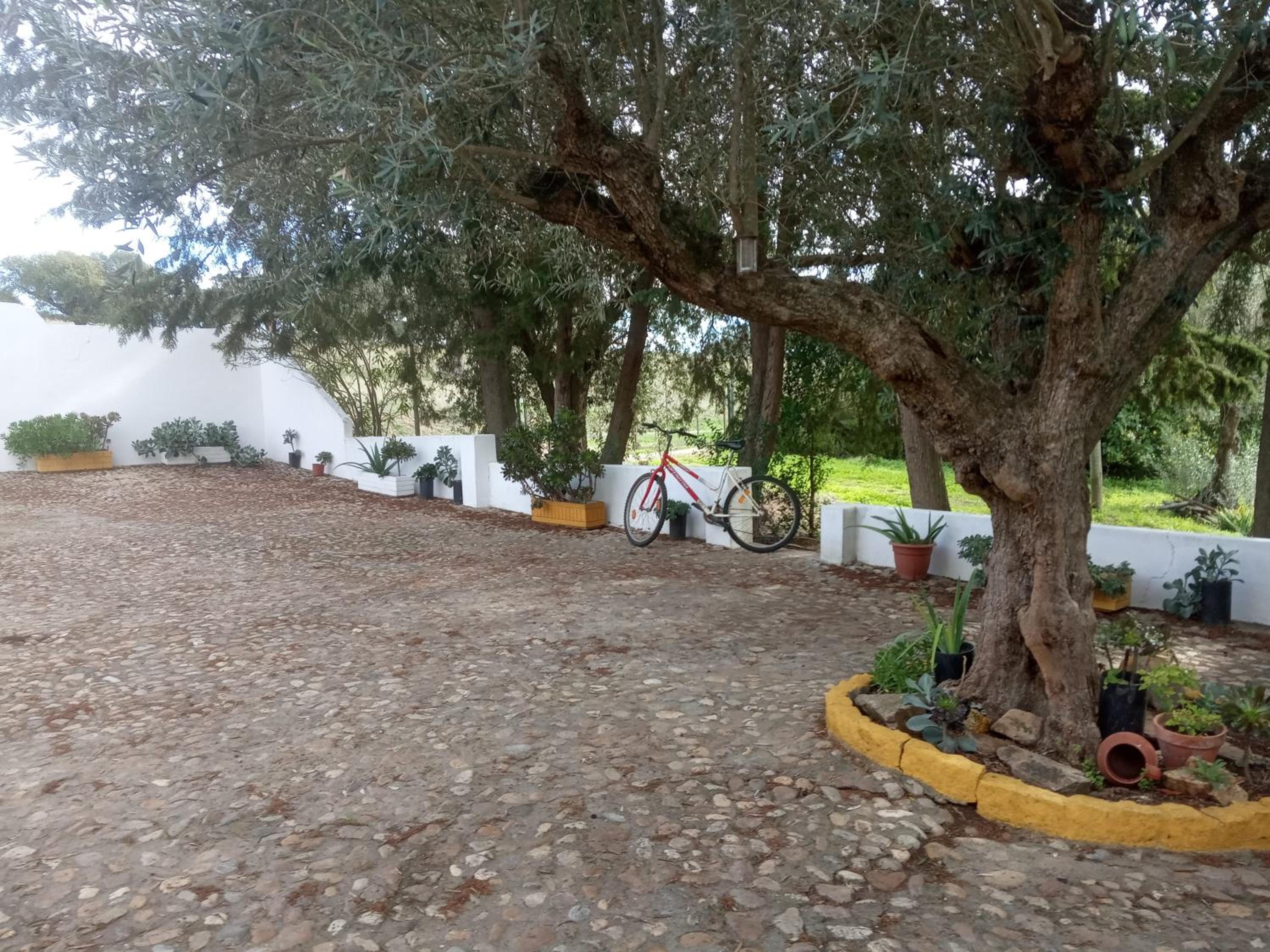 Photo 47