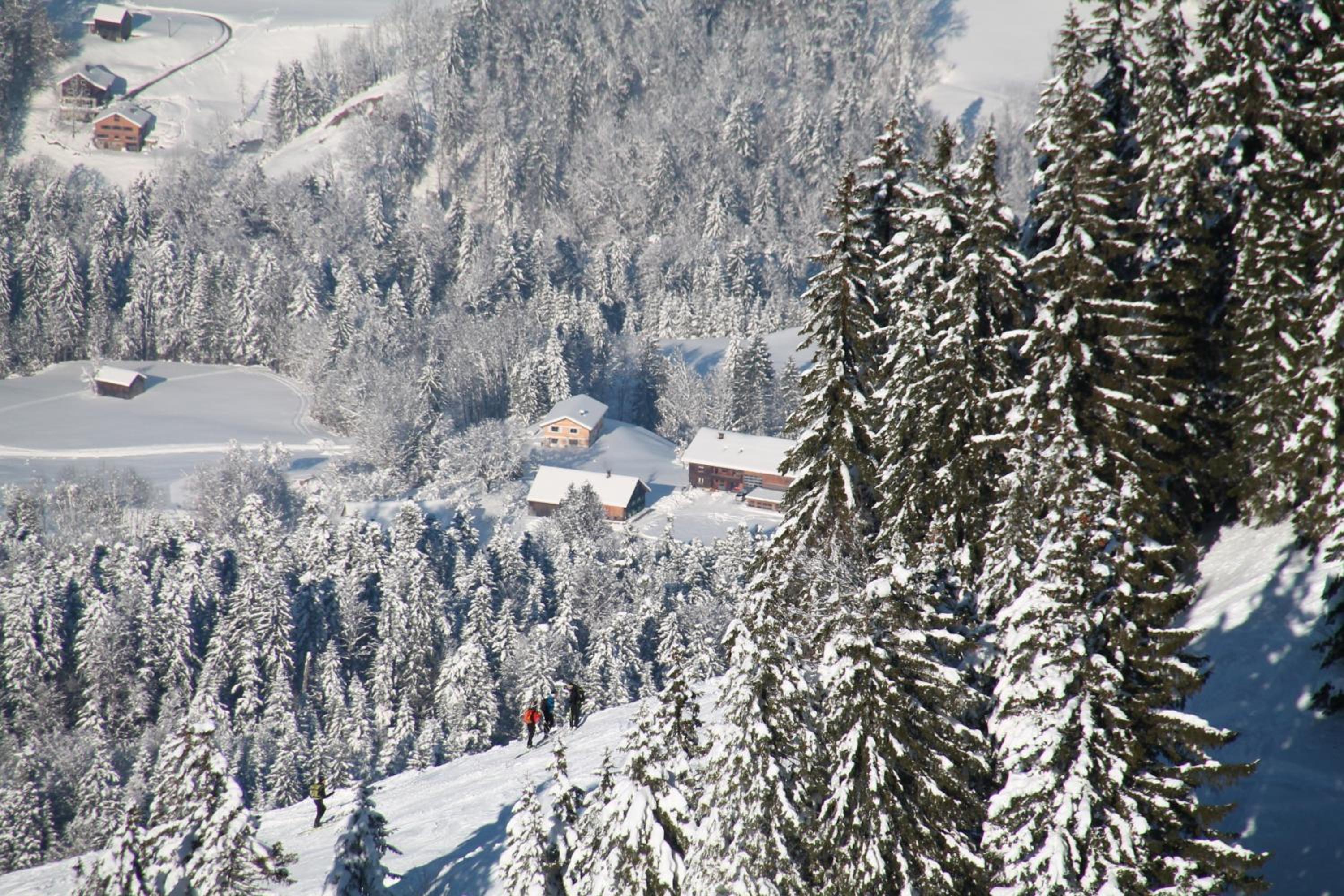 Bauernhof Hammerer