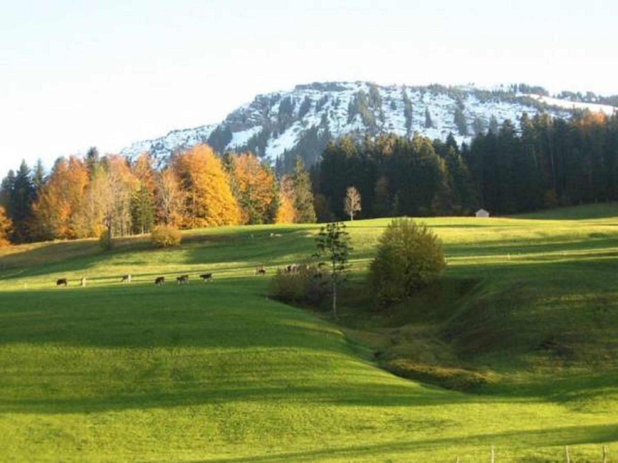 Bauernhof Hammerer