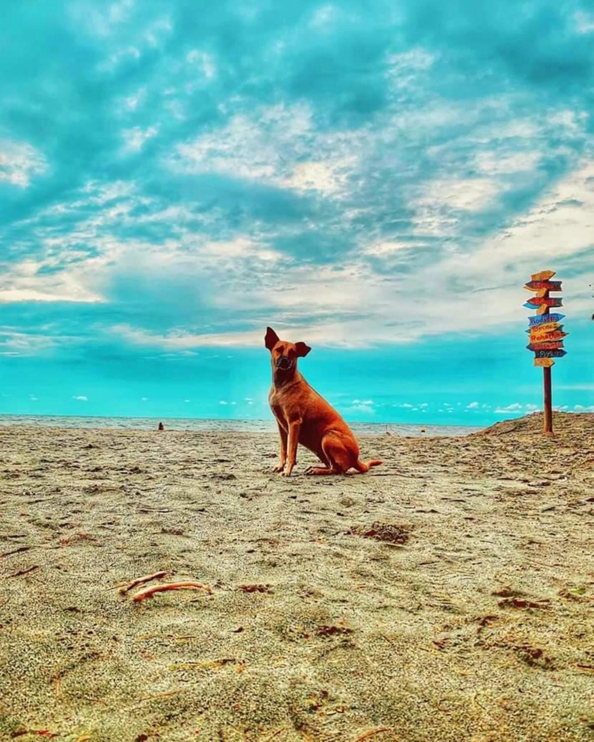 Playa del Ritmo Beach Hostel & Bar - Adults Only
