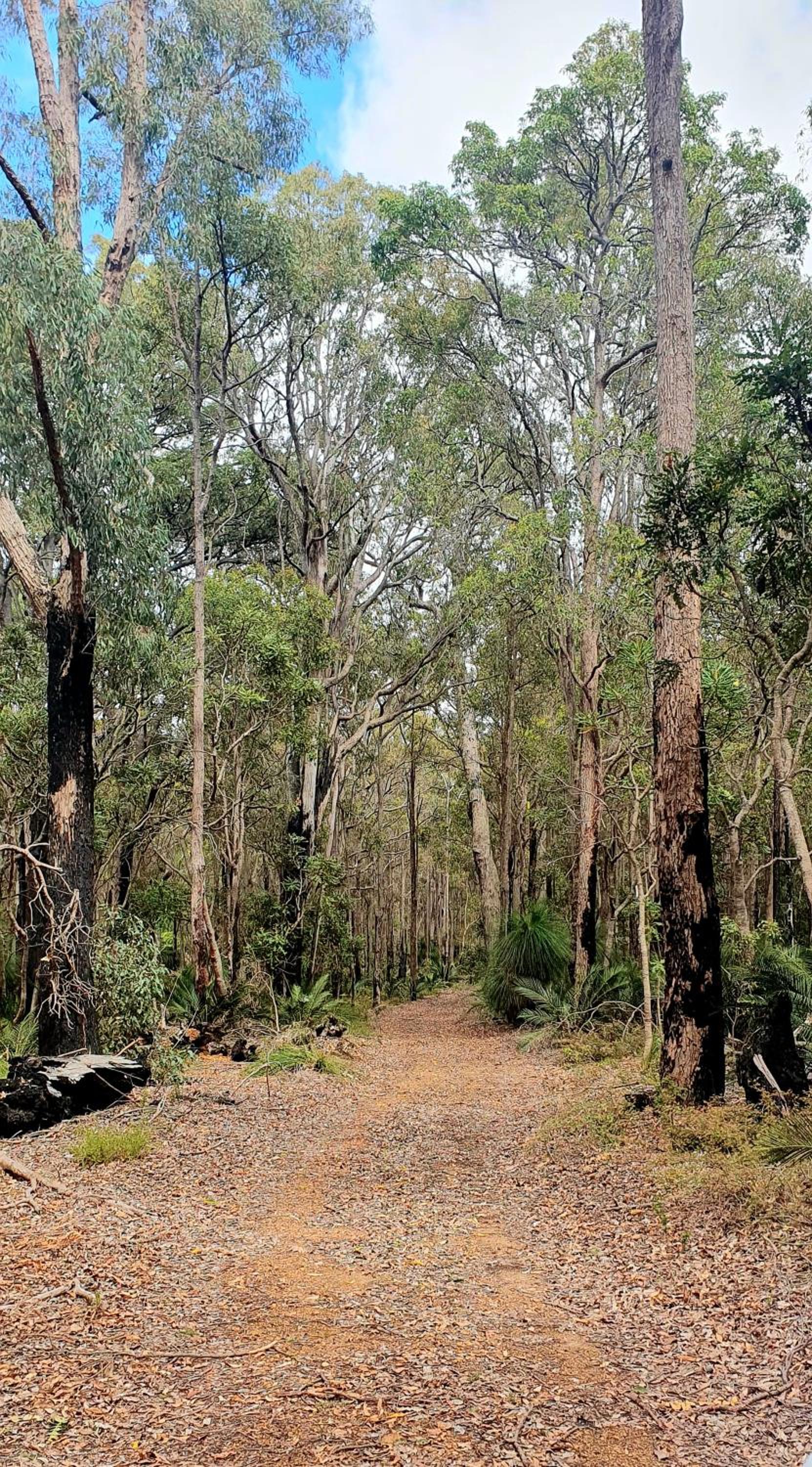 Forest Trails House, Dwellingup