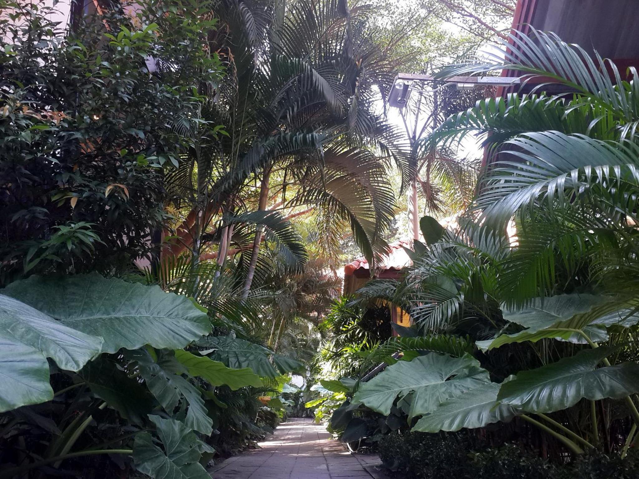 Ricci House Resort