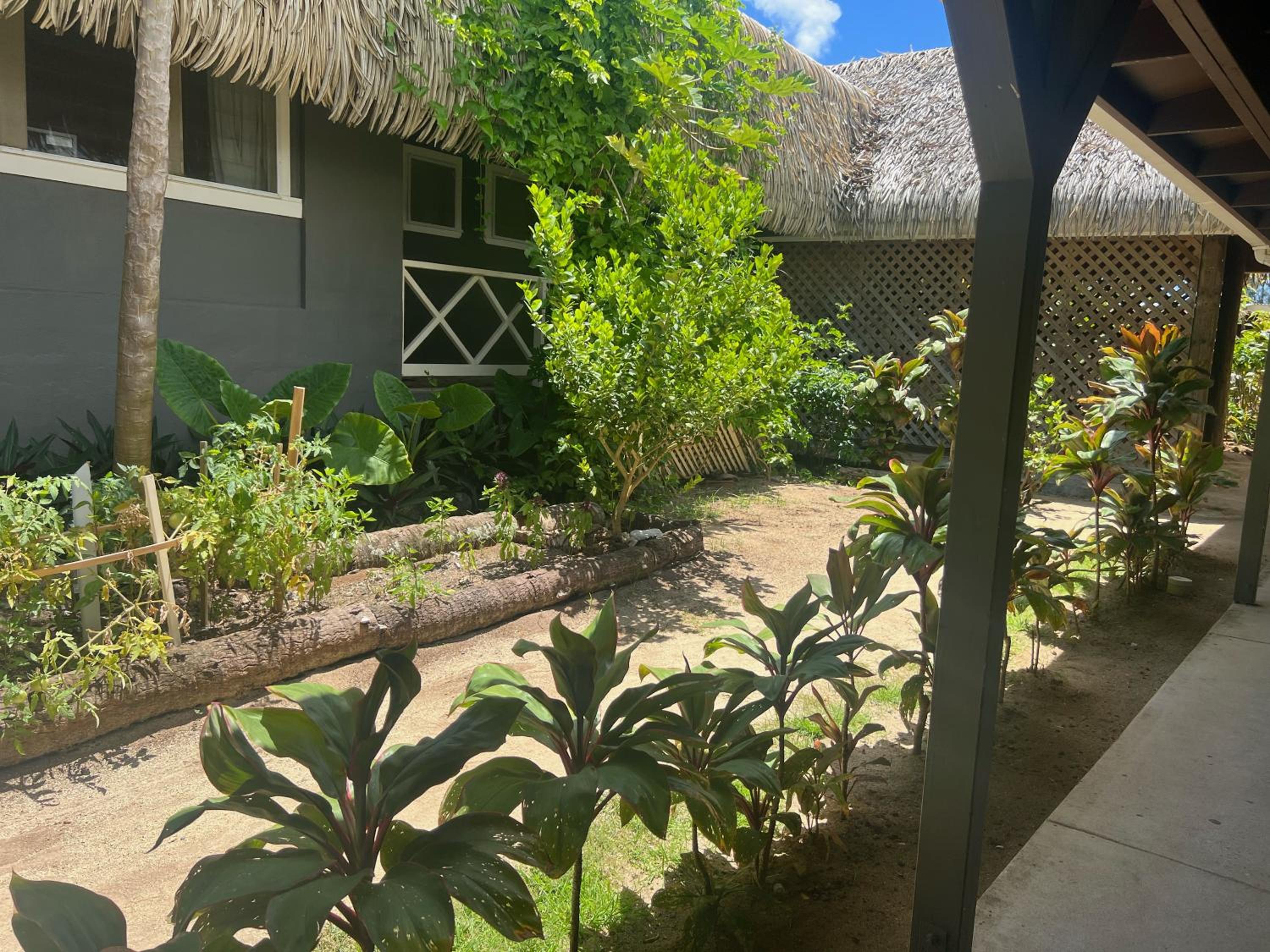 Club Raro Resort - Adults Only, photo 18