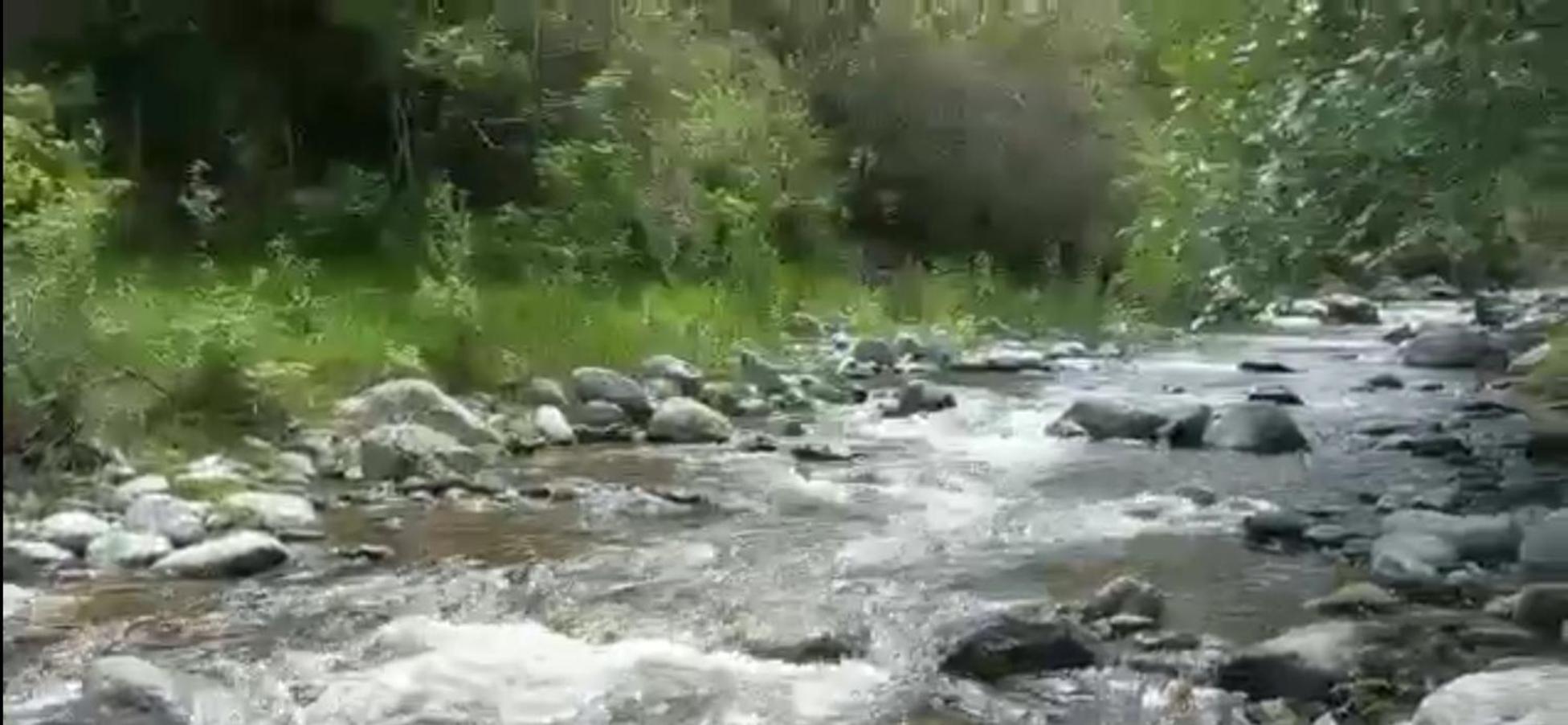 La Chelca