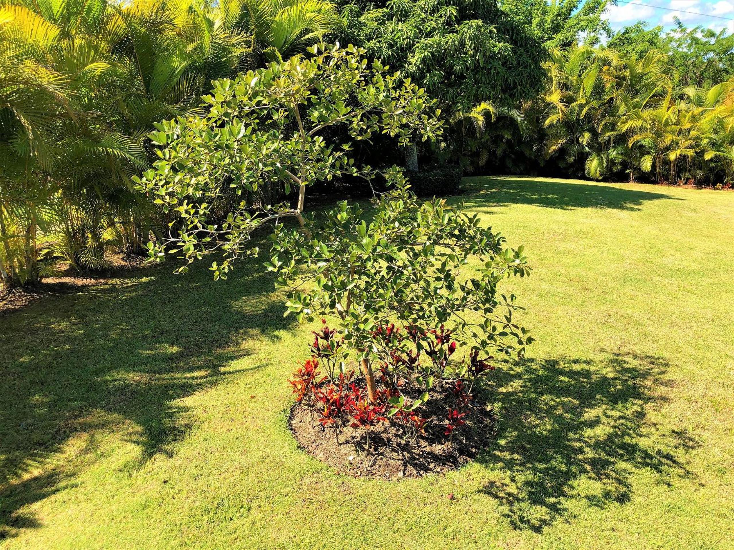 Photo 47