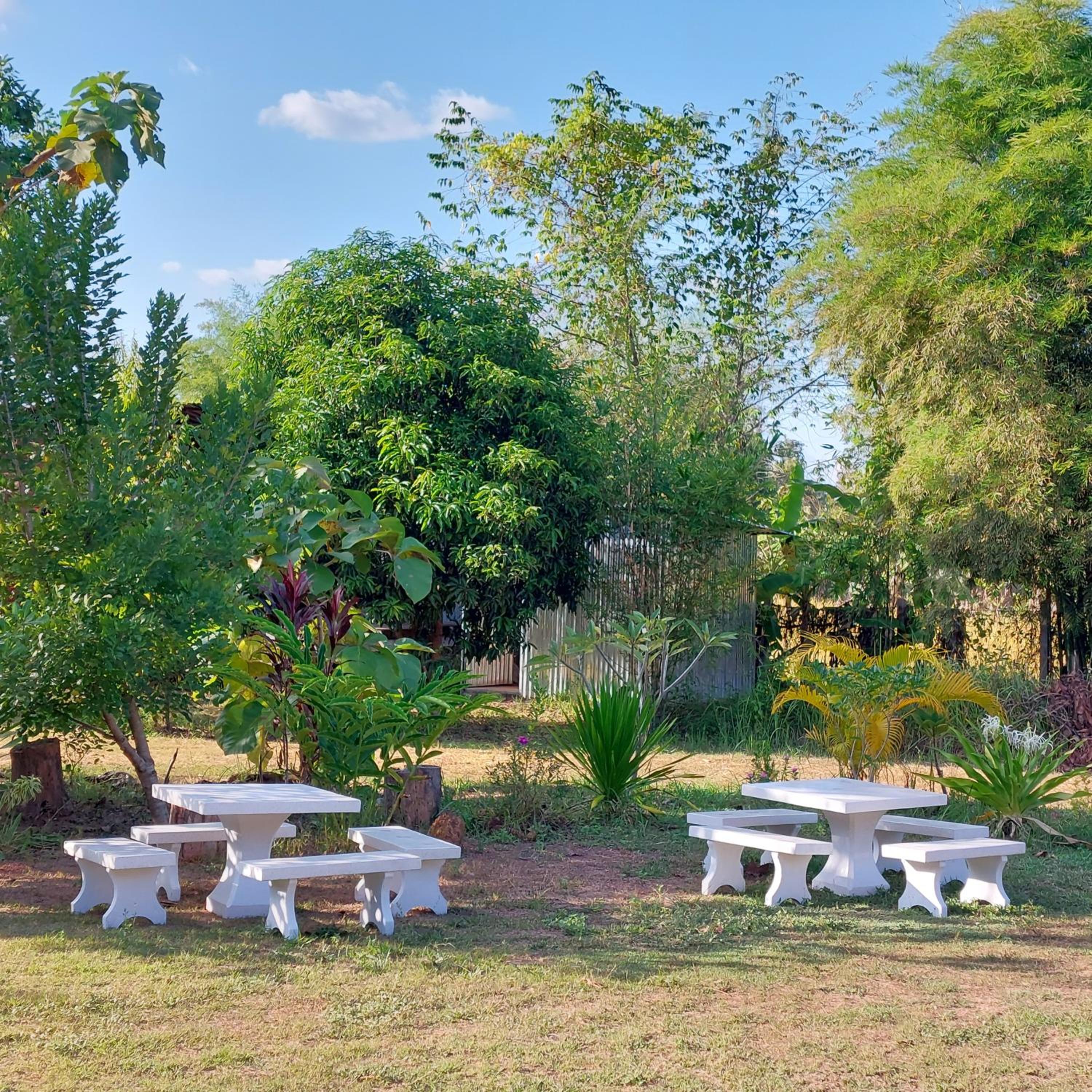 outdoor BBQ area